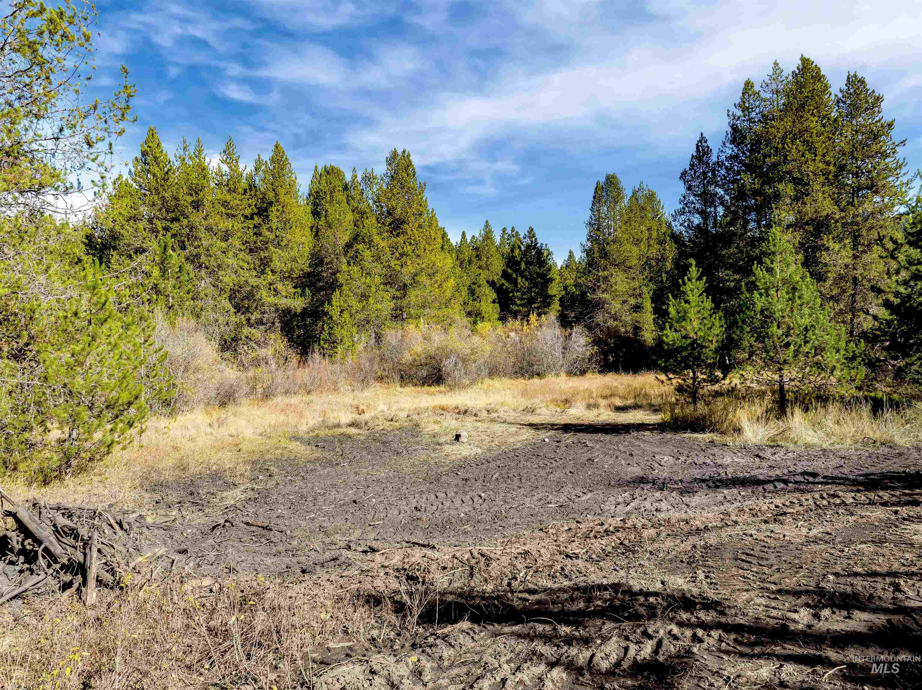 201 Tripod View, Cascade, Idaho 83611, Land For Sale, Price $499,000,MLS 98964686