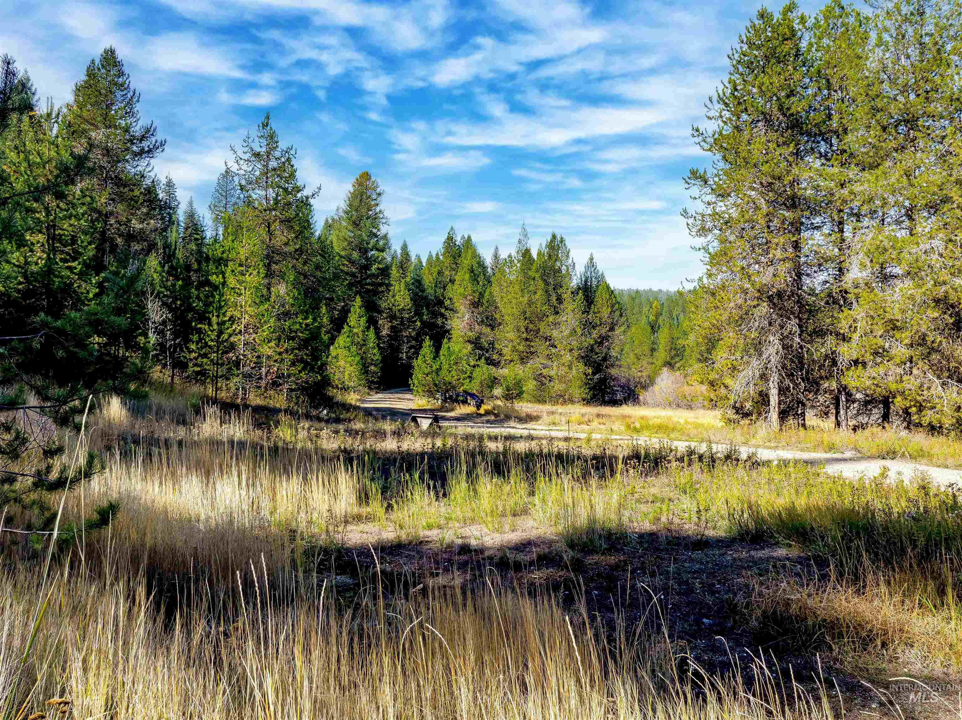 201 Tripod View, Cascade, Idaho 83611, Land For Sale, Price $499,000,MLS 98964686