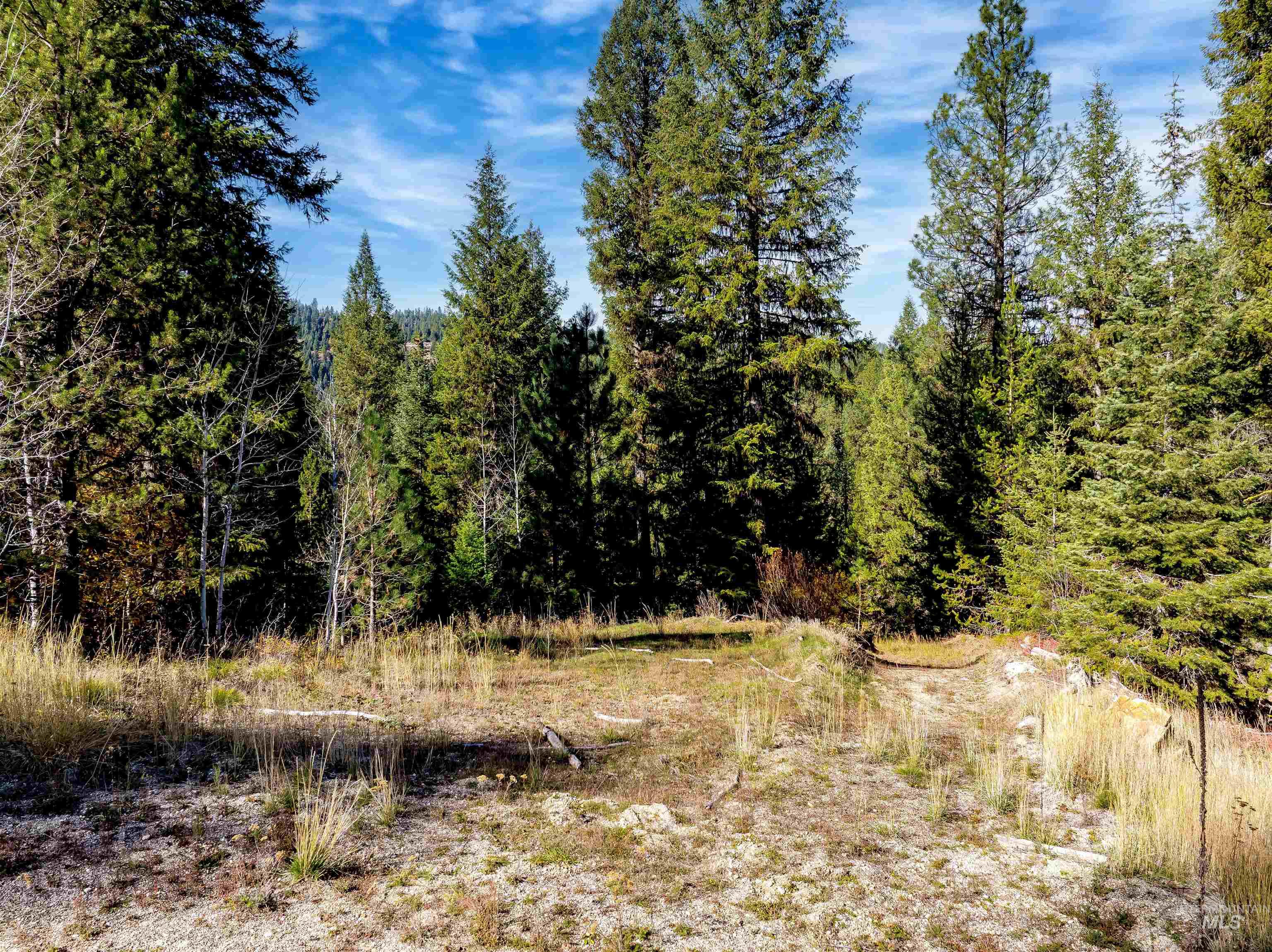 201 Tripod View, Cascade, Idaho 83611, Land For Sale, Price $499,000,MLS 98964686