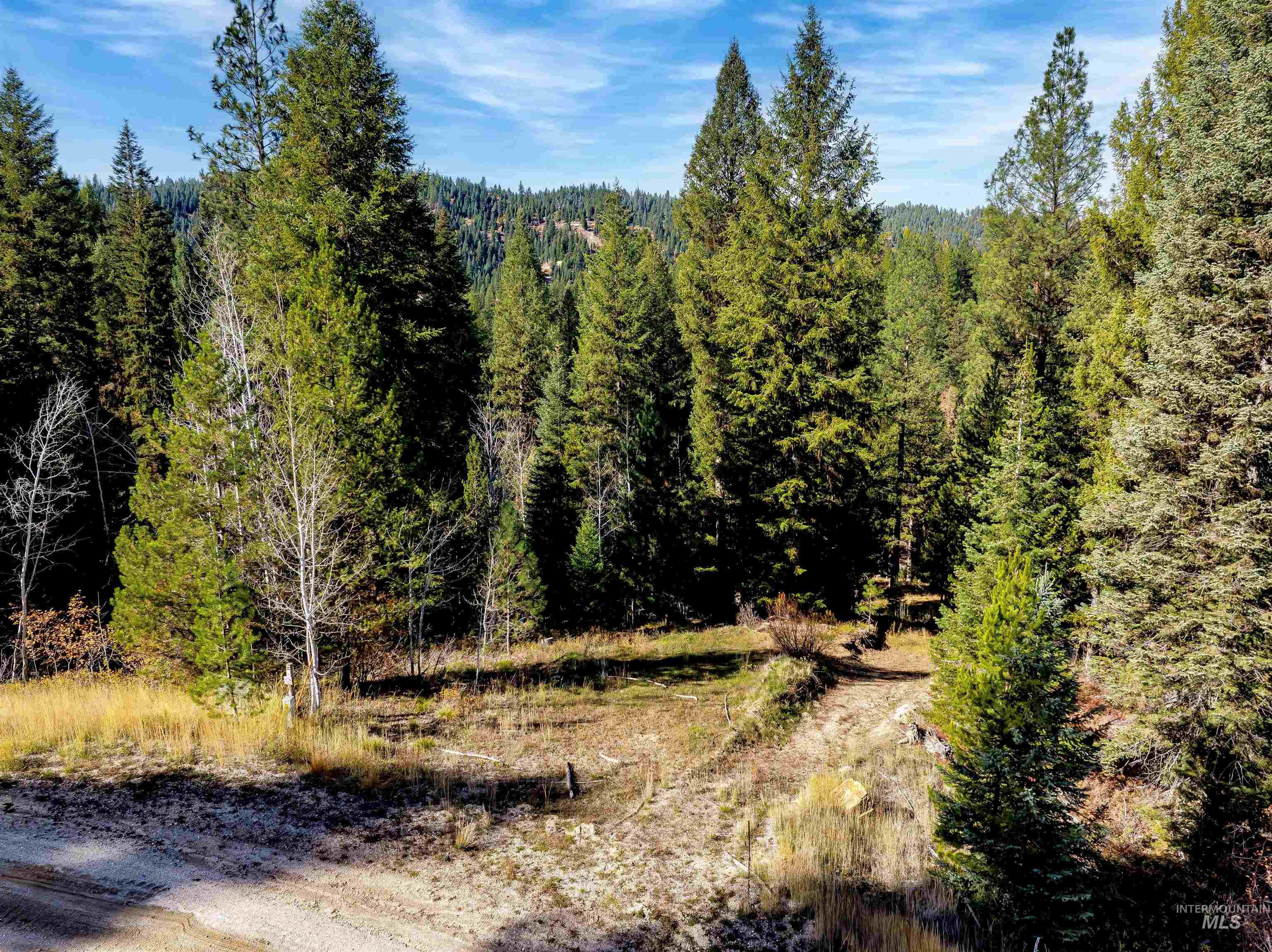 201 Tripod View, Cascade, Idaho 83611, Land For Sale, Price $499,000,MLS 98964686