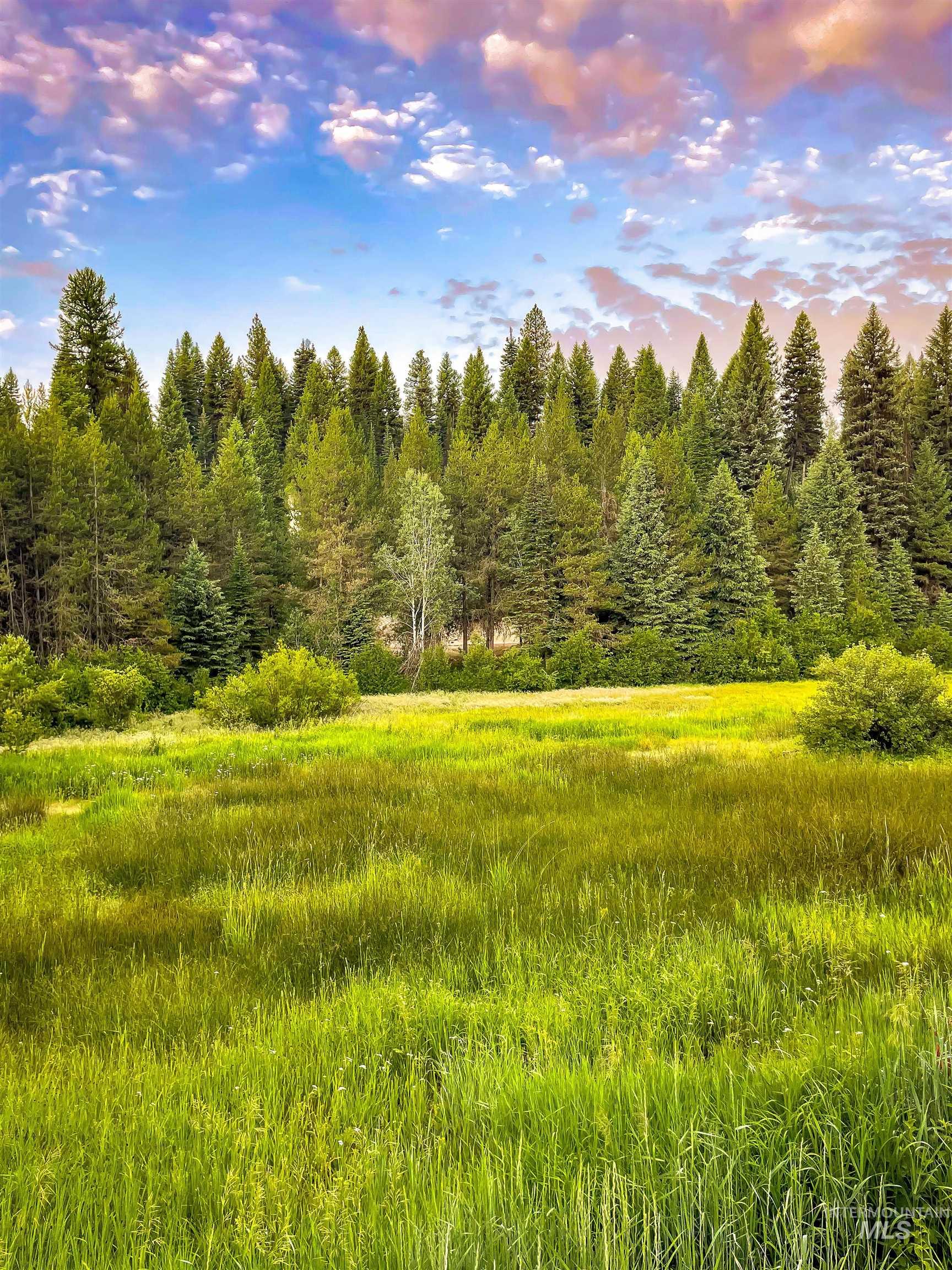 201 Tripod View, Cascade, Idaho 83611, Land For Sale, Price $499,000,MLS 98964686