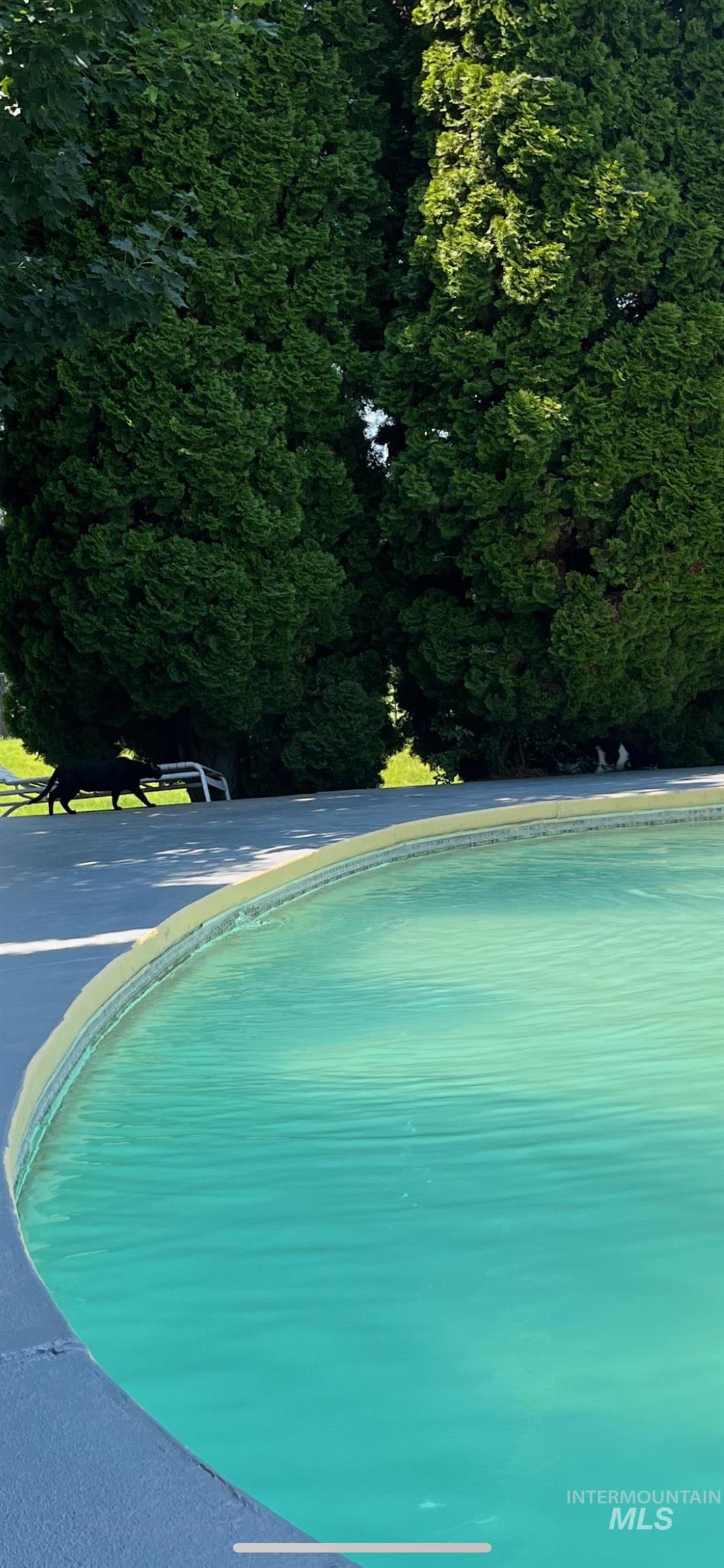 771 N Eagle Hills Way, Eagle, Idaho 83616-5211, 3 Bedrooms, 2 Bathrooms, Residential For Sale, Price $579,000,MLS 98964703