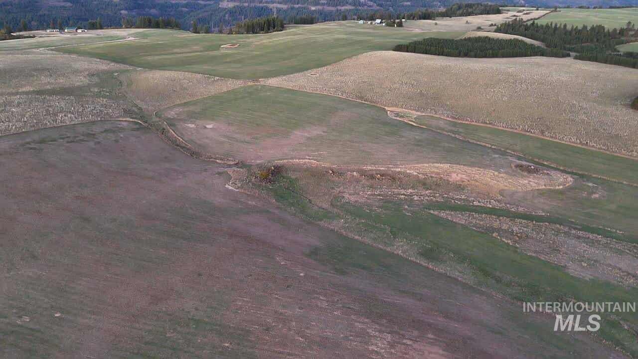 TBD Stuart Rd., Parcel 4, Orofino, Idaho 83544, Land For Sale, Price $68,000,MLS 98964705