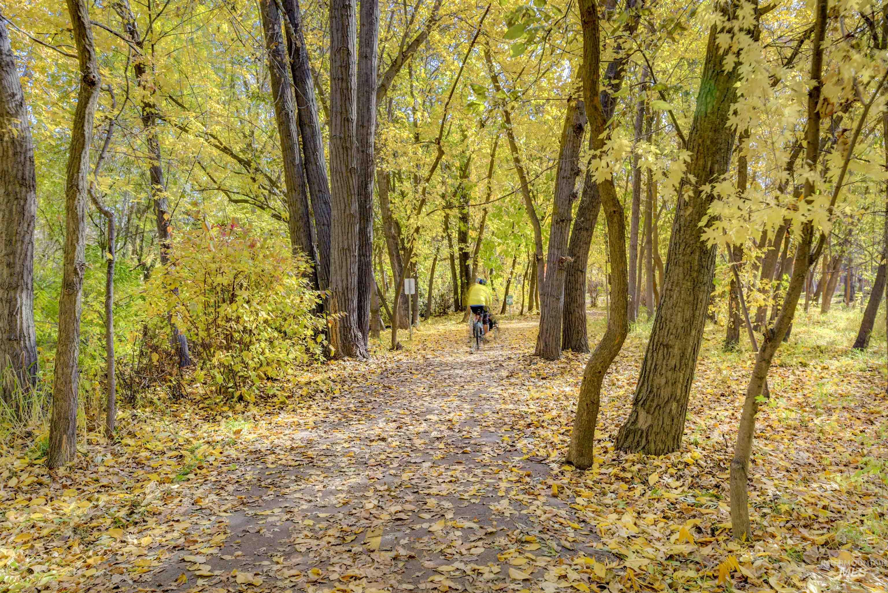 789 W Water Vista Drive, Eagle, Idaho 83616, 5 Bedrooms, 5 Bathrooms, Residential For Sale, Price $1,999,999,MLS 98964784