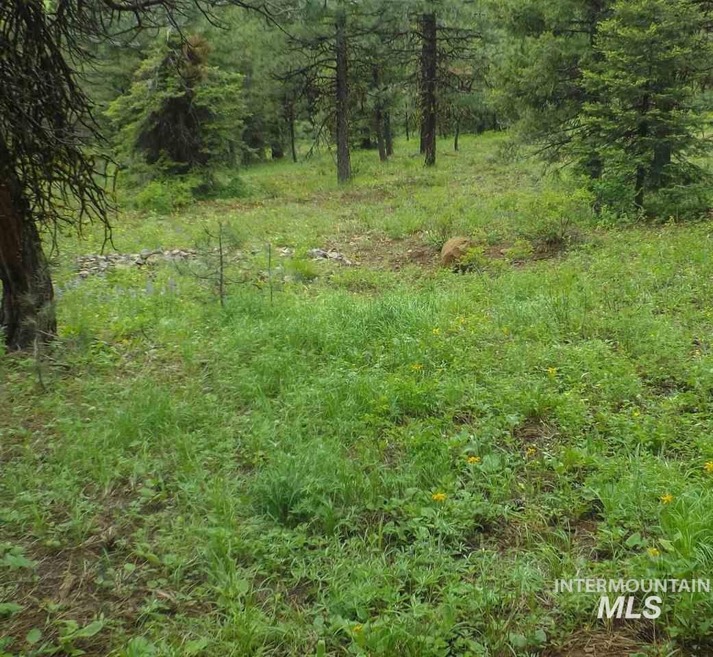 TBD Whitefield Lane, McCall, Idaho 83638, Land For Sale, Price $169,000,MLS 98964803