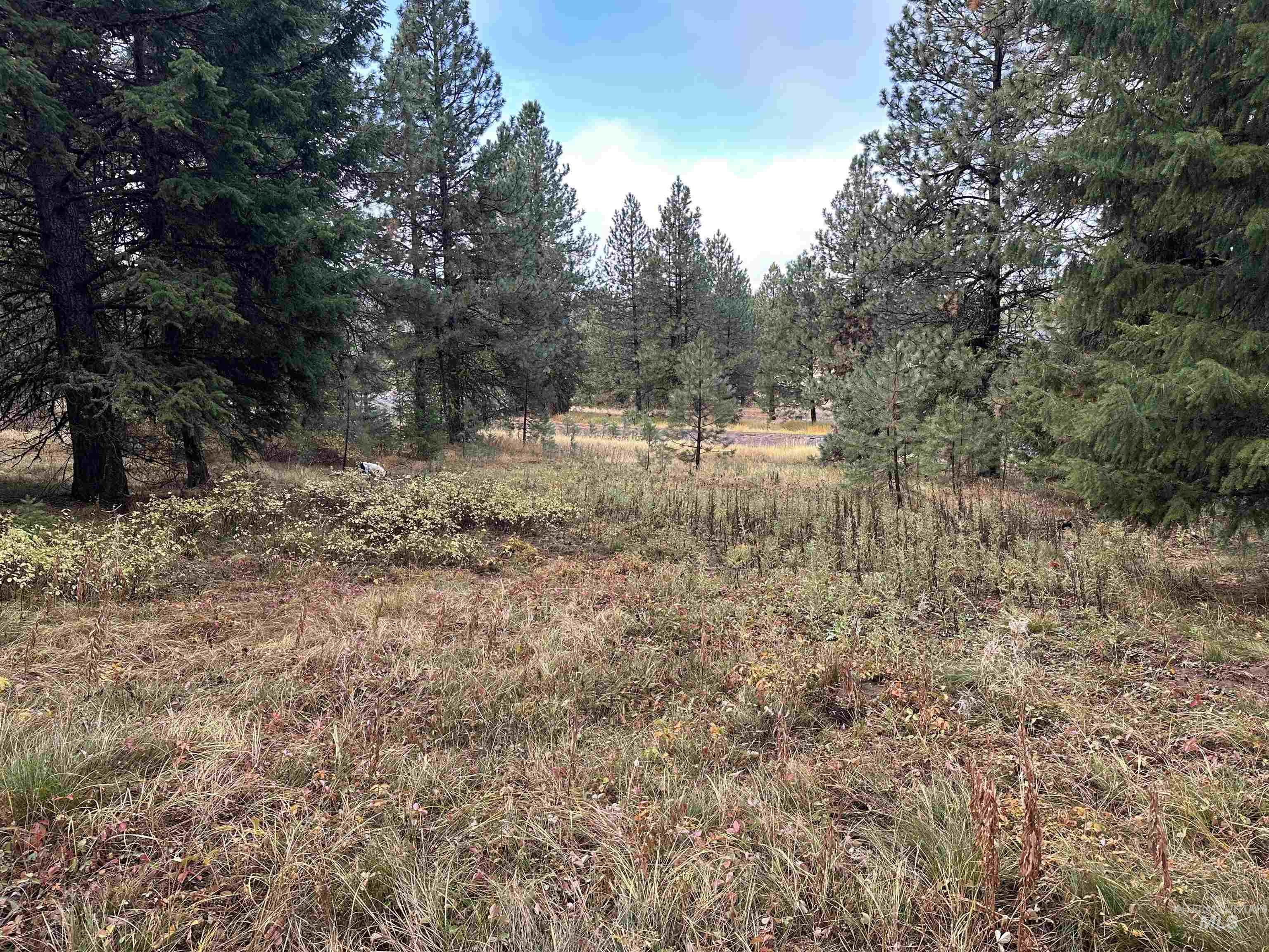 TBD Whitefield Lane, McCall, Idaho 83638, Land For Sale, Price $169,000,MLS 98964803