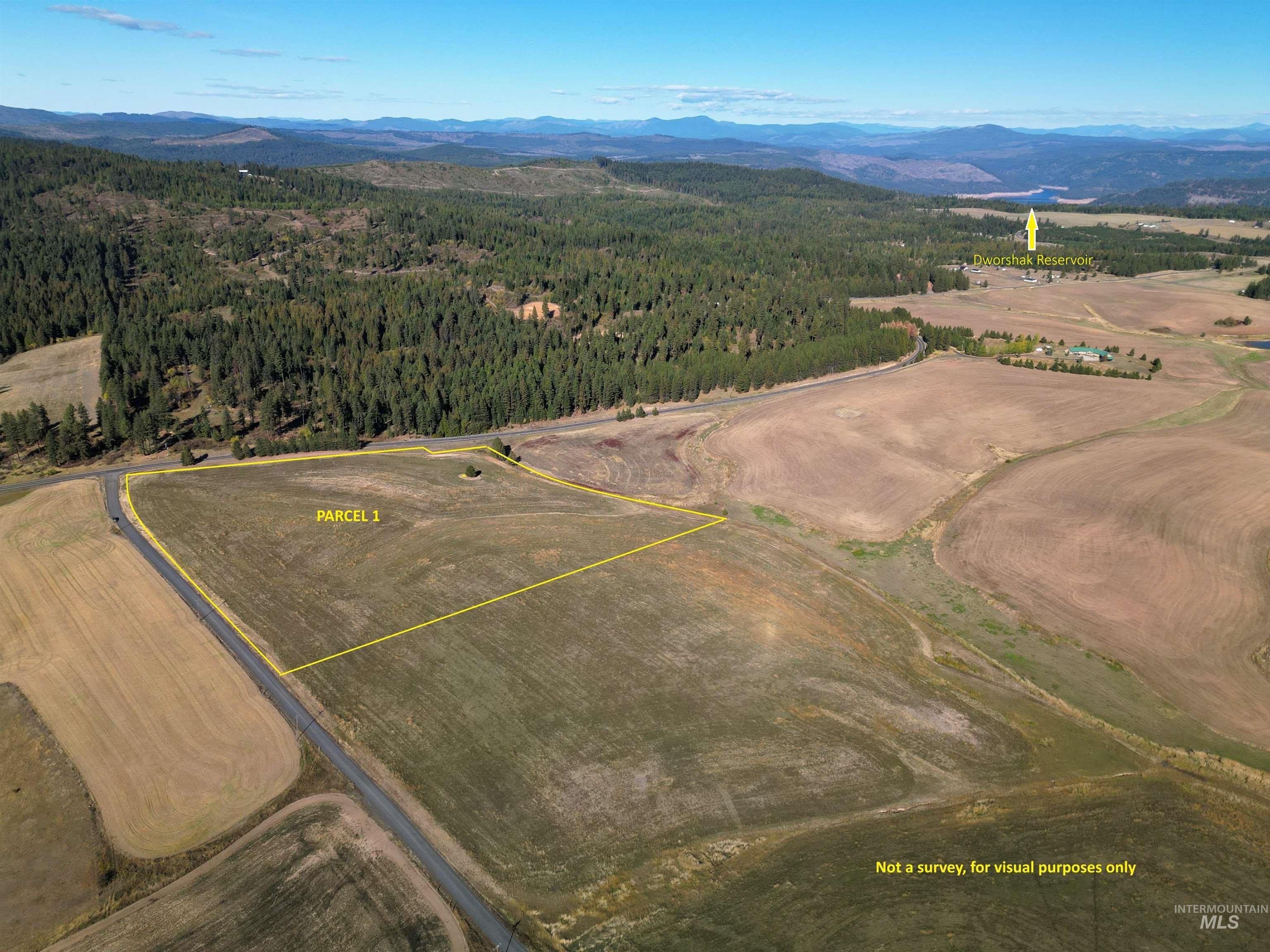 0 Brown Rd, Parcel 1, Lenore, Idaho 83541, Land For Sale, Price $174,000,MLS 98964808
