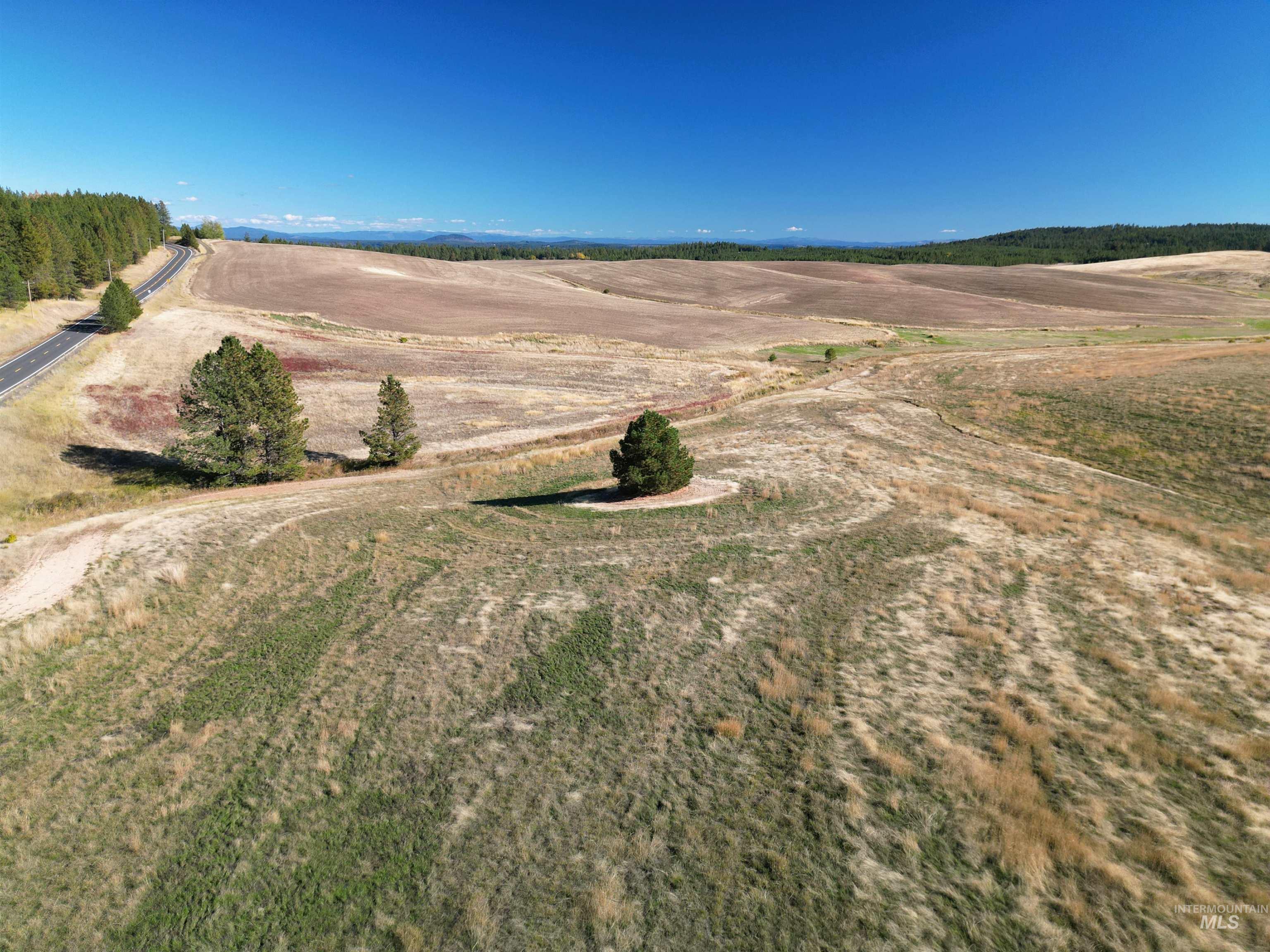 0 Brown Rd, Parcel 1, Lenore, Idaho 83541, Land For Sale, Price $174,000,MLS 98964808