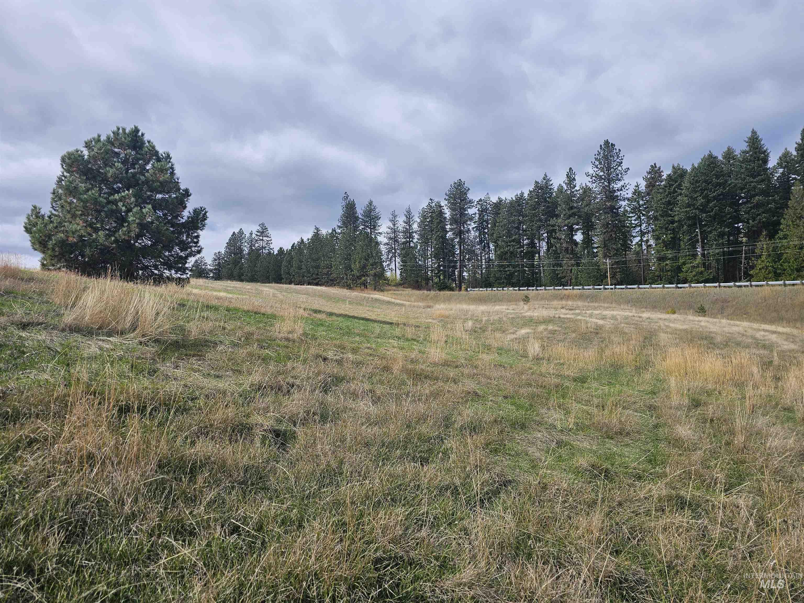 0 Brown Rd, Parcel 1, Lenore, Idaho 83541, Land For Sale, Price $174,000,MLS 98964808