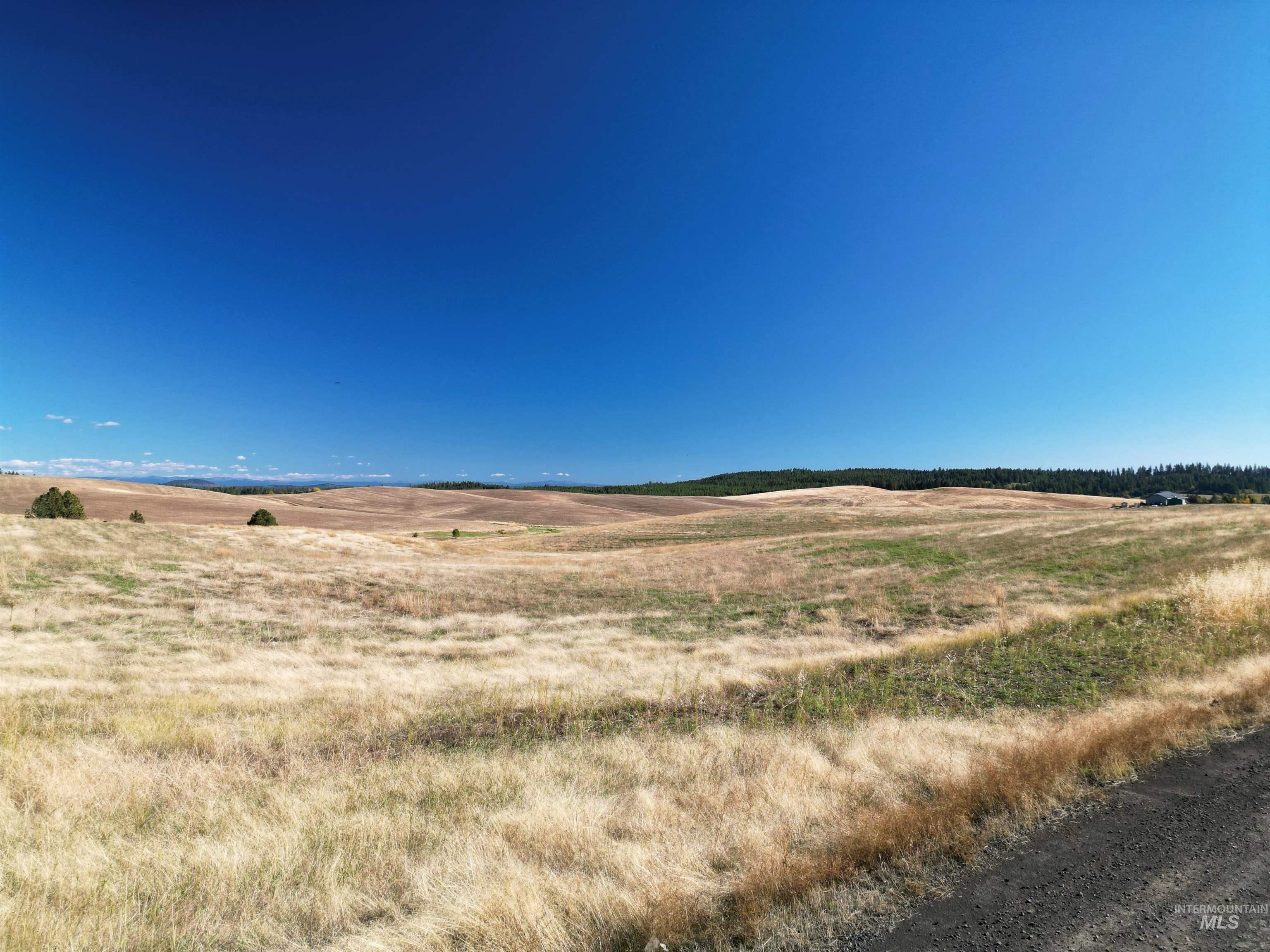 0 Brown Rd, Parcel 1, Lenore, Idaho 83541, Land For Sale, Price $174,000,MLS 98964808