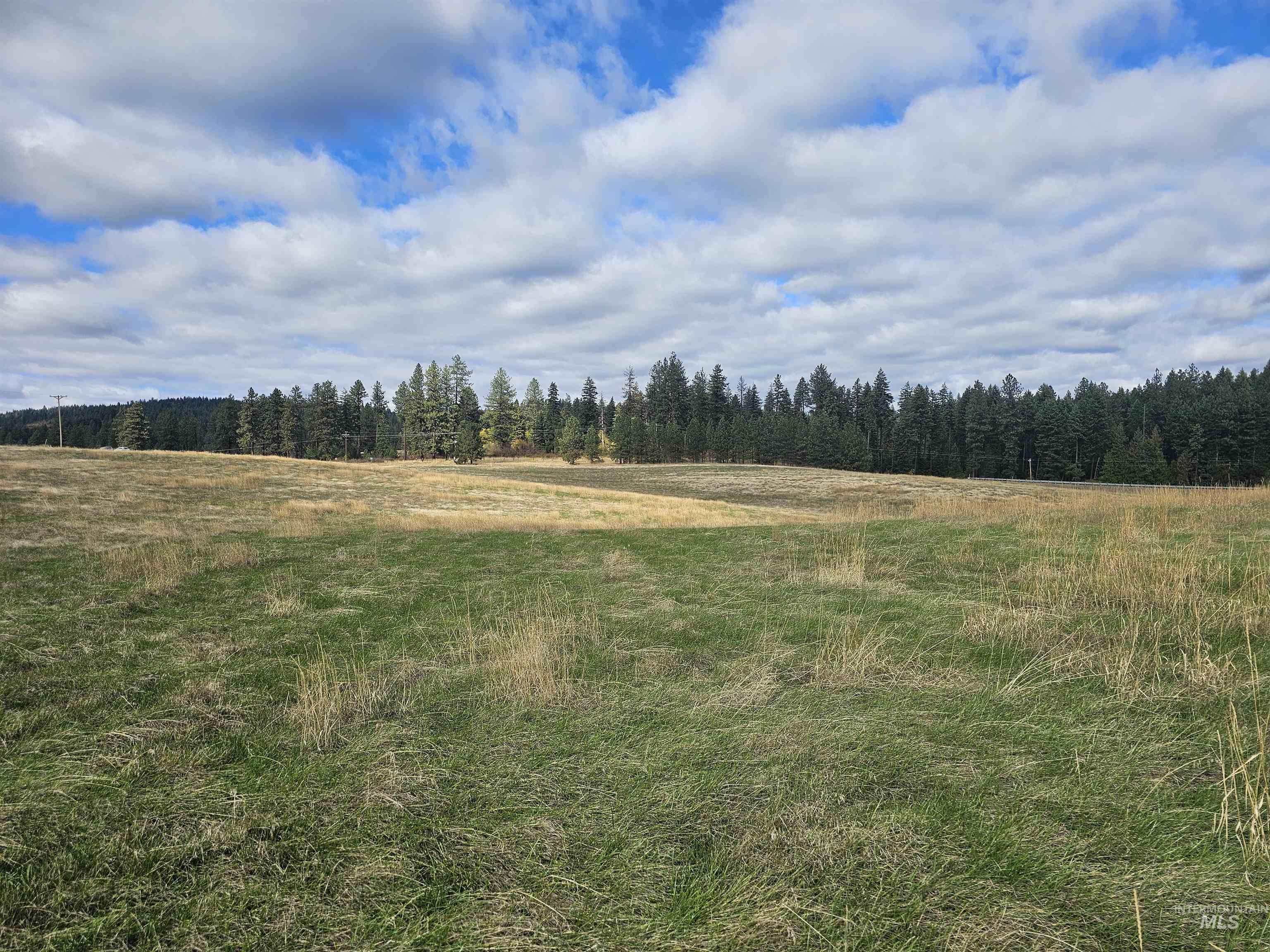 0 Brown Rd, Parcel 1, Lenore, Idaho 83541, Land For Sale, Price $174,000,MLS 98964808
