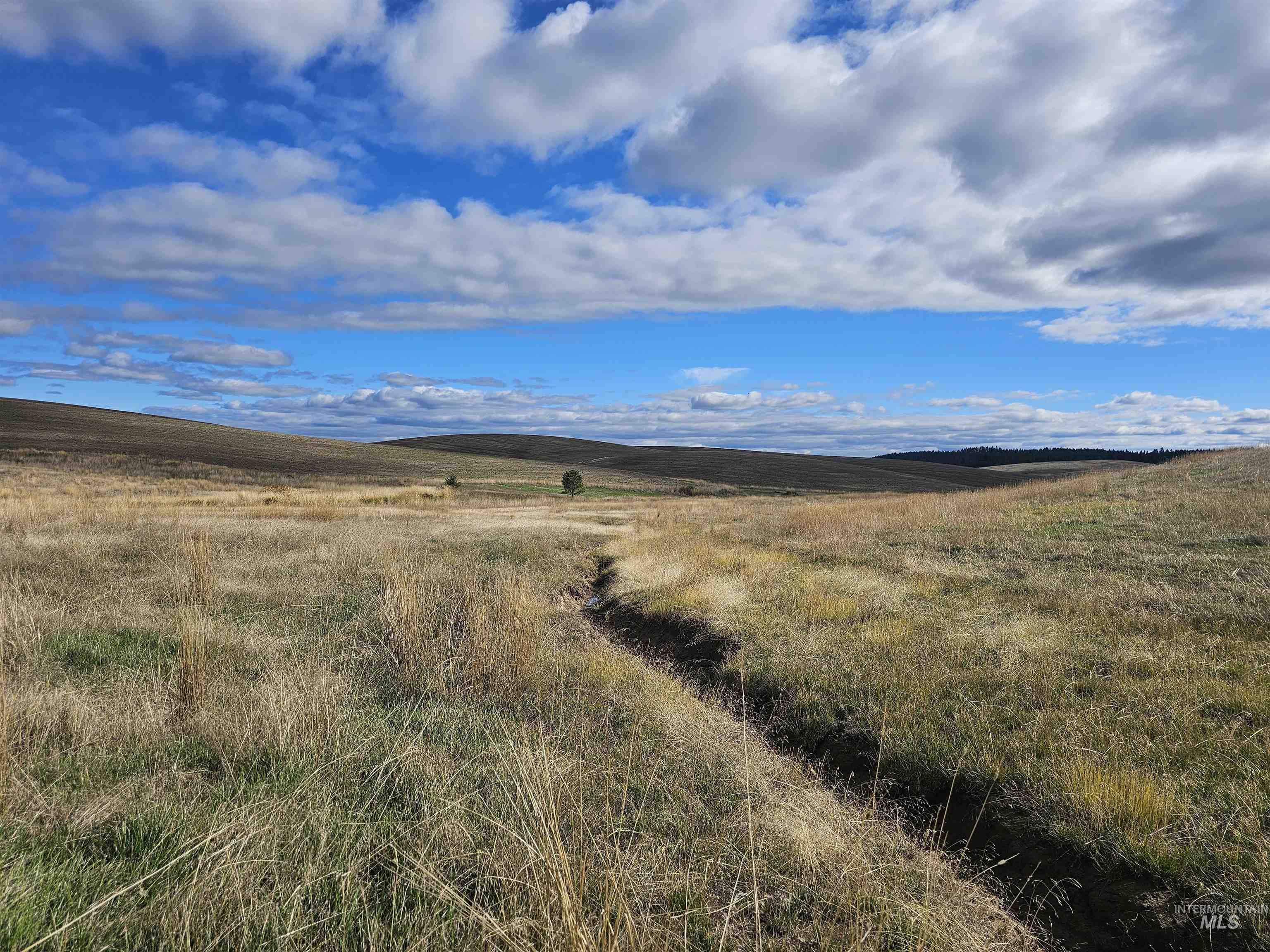 0 Brown Rd, Parcel 1, Lenore, Idaho 83541, Land For Sale, Price $174,000,MLS 98964808