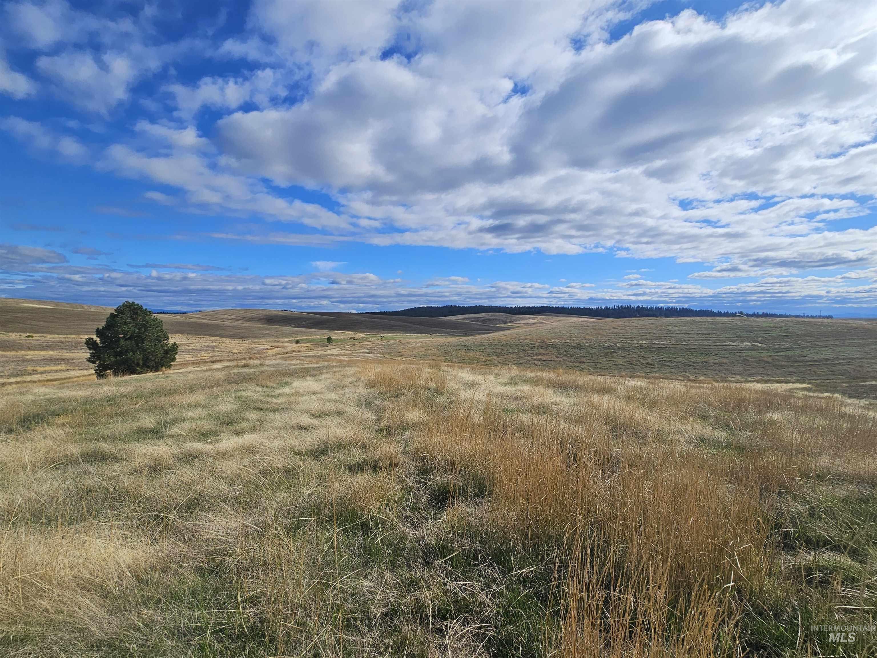 0 Brown Rd, Parcel 1, Lenore, Idaho 83541, Land For Sale, Price $174,000,MLS 98964808