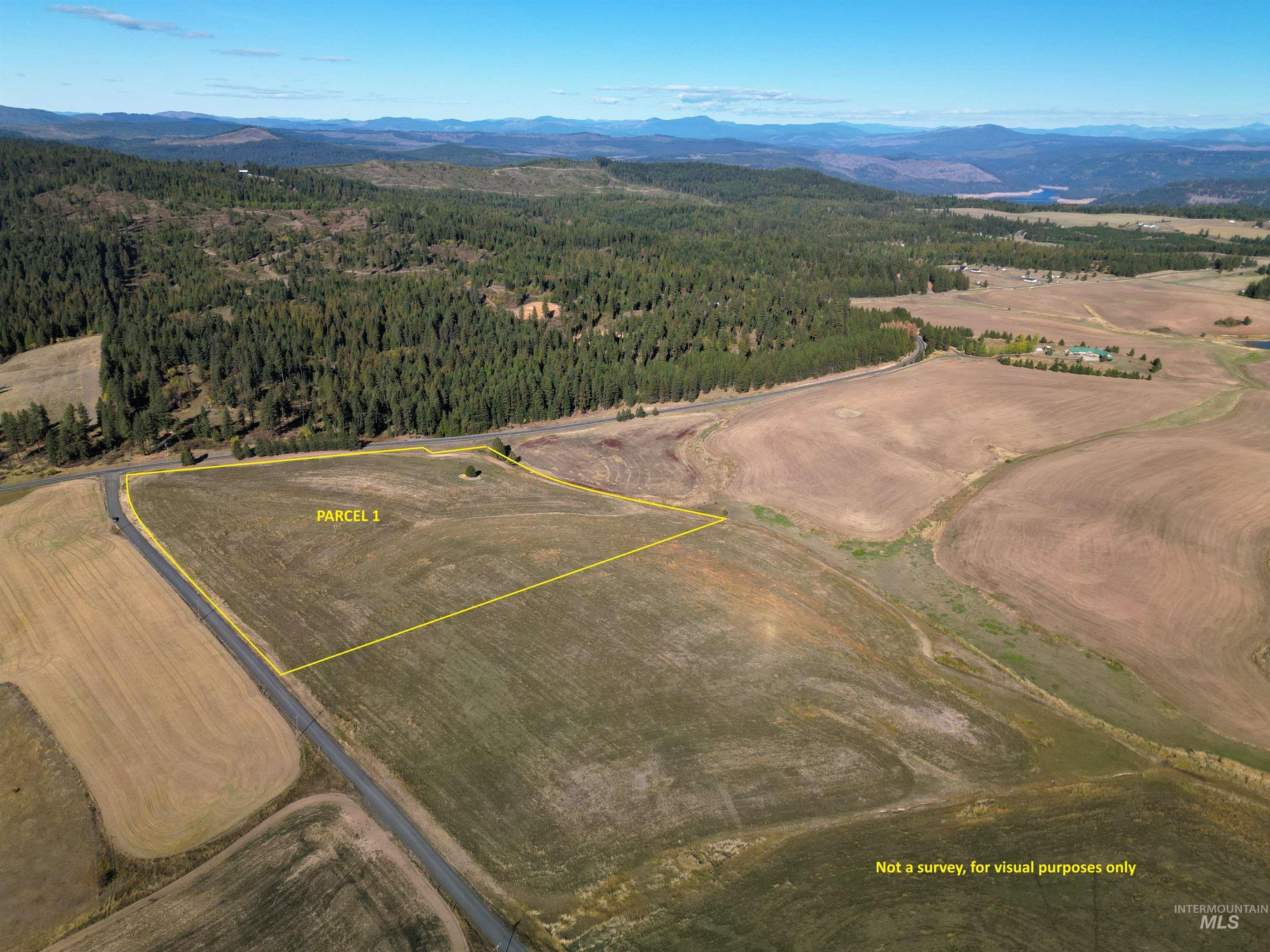0 Brown Rd, Parcel 1, Lenore, Idaho 83541, Land For Sale, Price $174,000,MLS 98964808