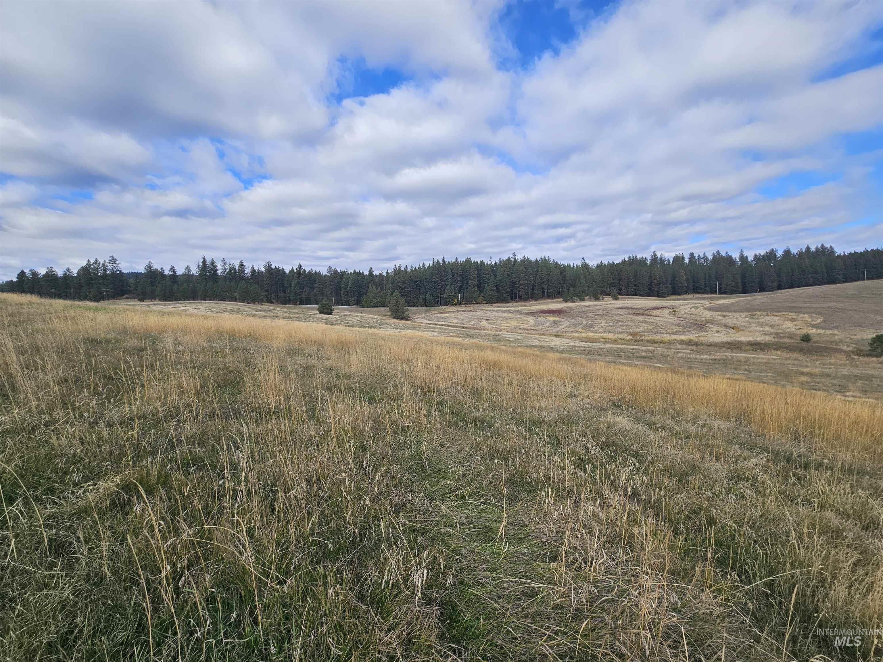 0 Brown Rd, Parcel 1, Lenore, Idaho 83541, Land For Sale, Price $174,000,MLS 98964808