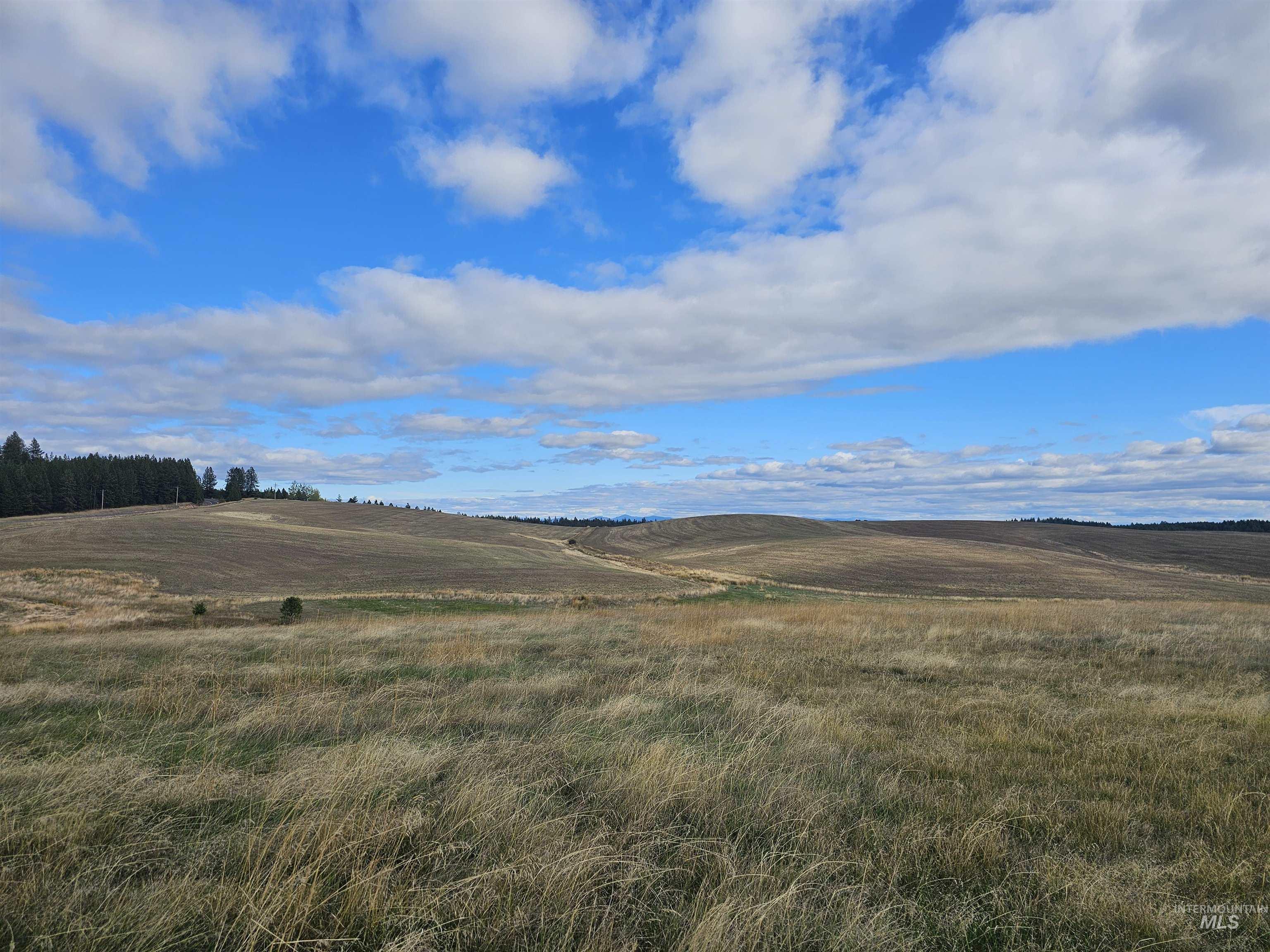 0 Brown Rd, Parcel 2, Lenore, Idaho 83541, Land For Sale, Price $214,000,MLS 98964810