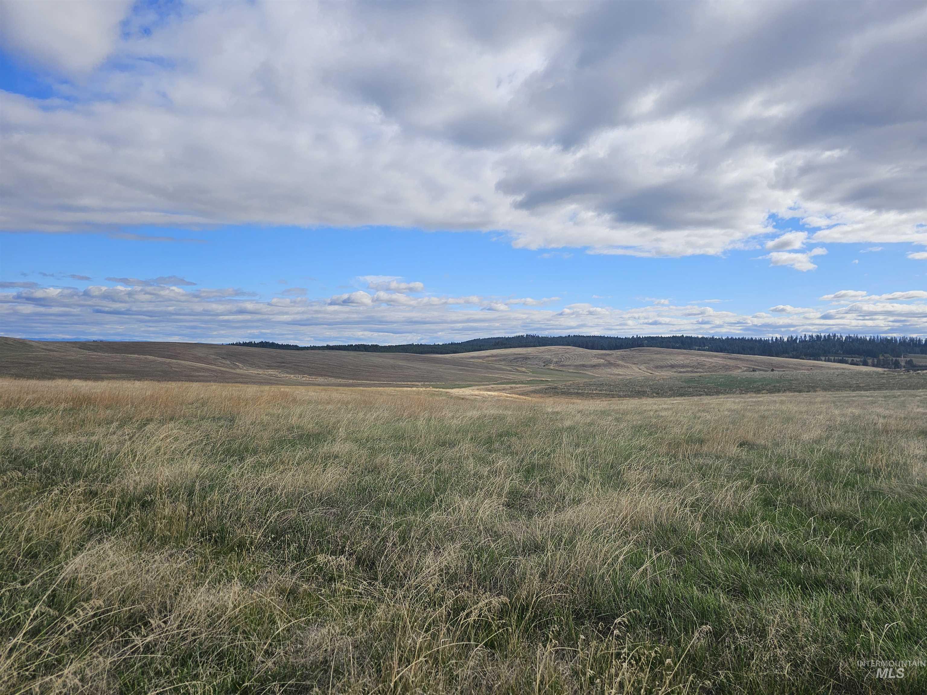0 Brown Rd, Parcel 2, Lenore, Idaho 83541, Land For Sale, Price $214,000,MLS 98964810
