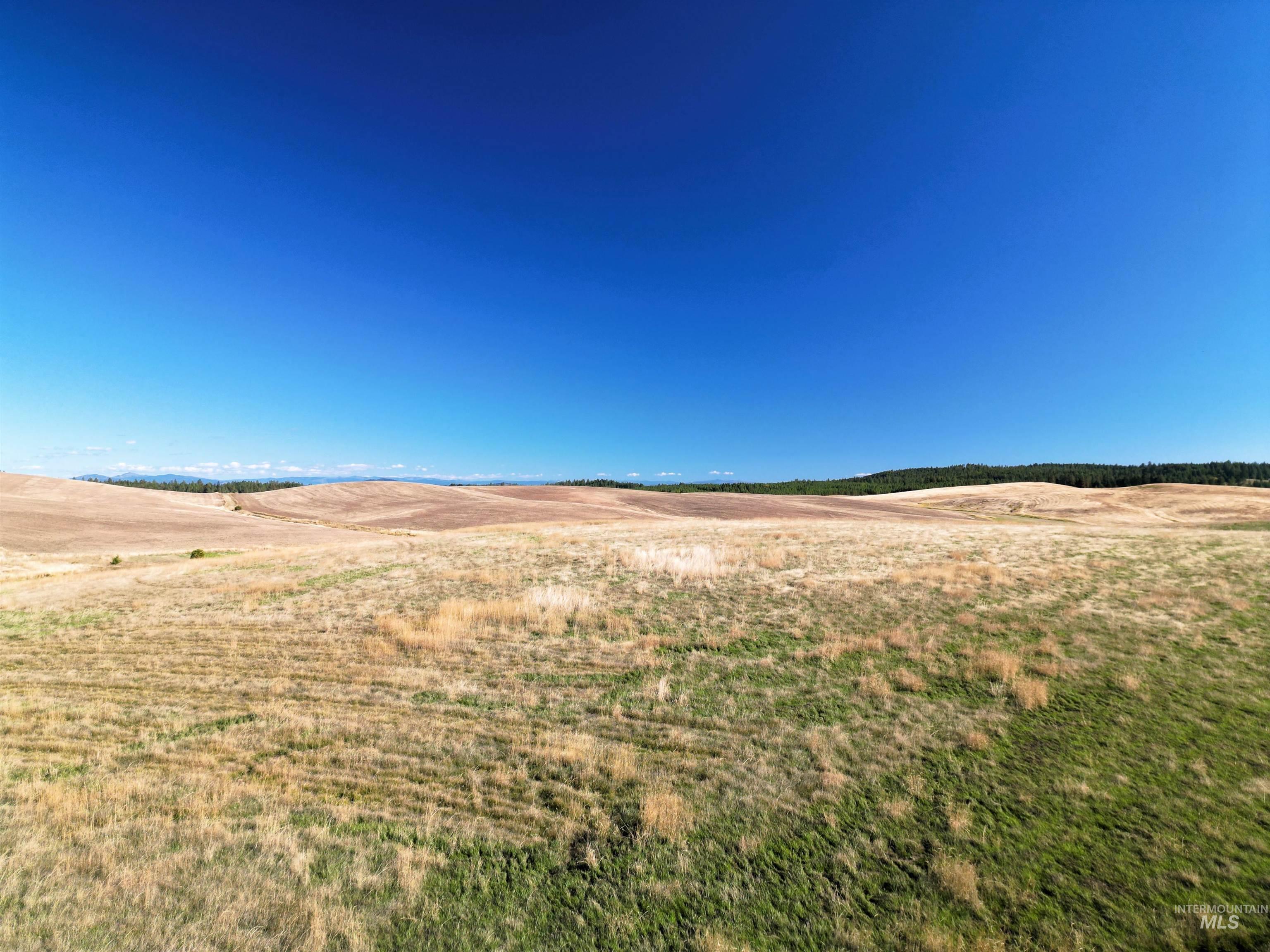 0 Brown Rd, Parcel 2, Lenore, Idaho 83541, Land For Sale, Price $214,000,MLS 98964810