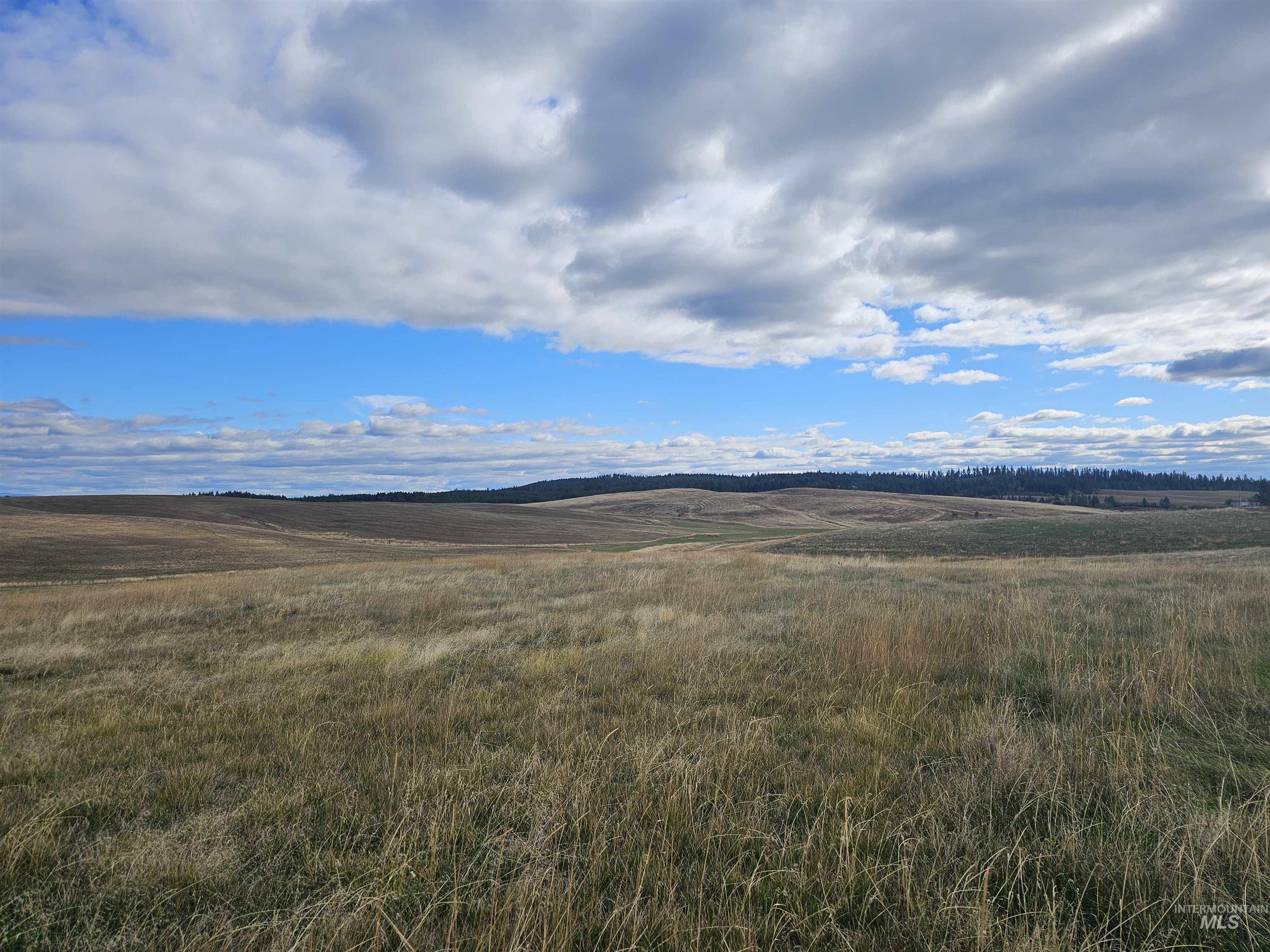0 Brown Rd, Parcel 2, Lenore, Idaho 83541, Land For Sale, Price $214,000,MLS 98964810