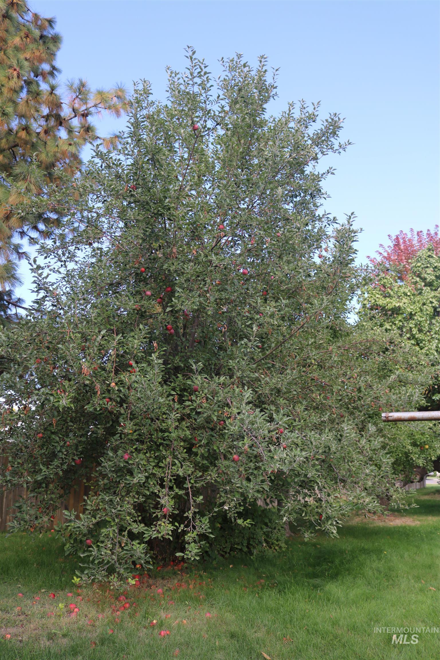 1111 E Main Street, Emmett, Idaho 83617, 3 Bedrooms, 2 Bathrooms, Residential For Sale, Price $425,000,MLS 98964819