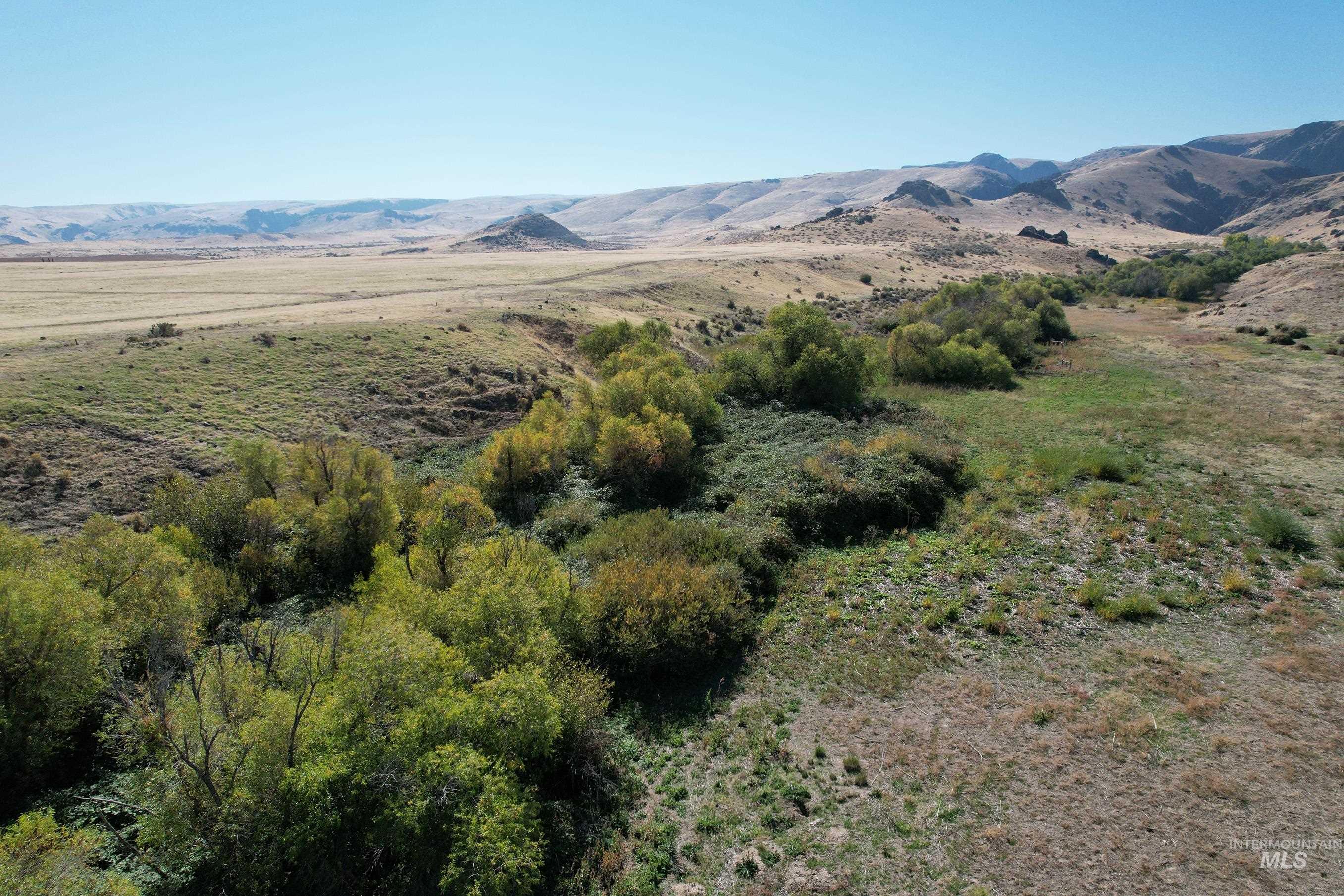 TBD Poison Creek Road, Marsing, Idaho 83639-9998, Land For Sale, Price $960,000,MLS 98965066