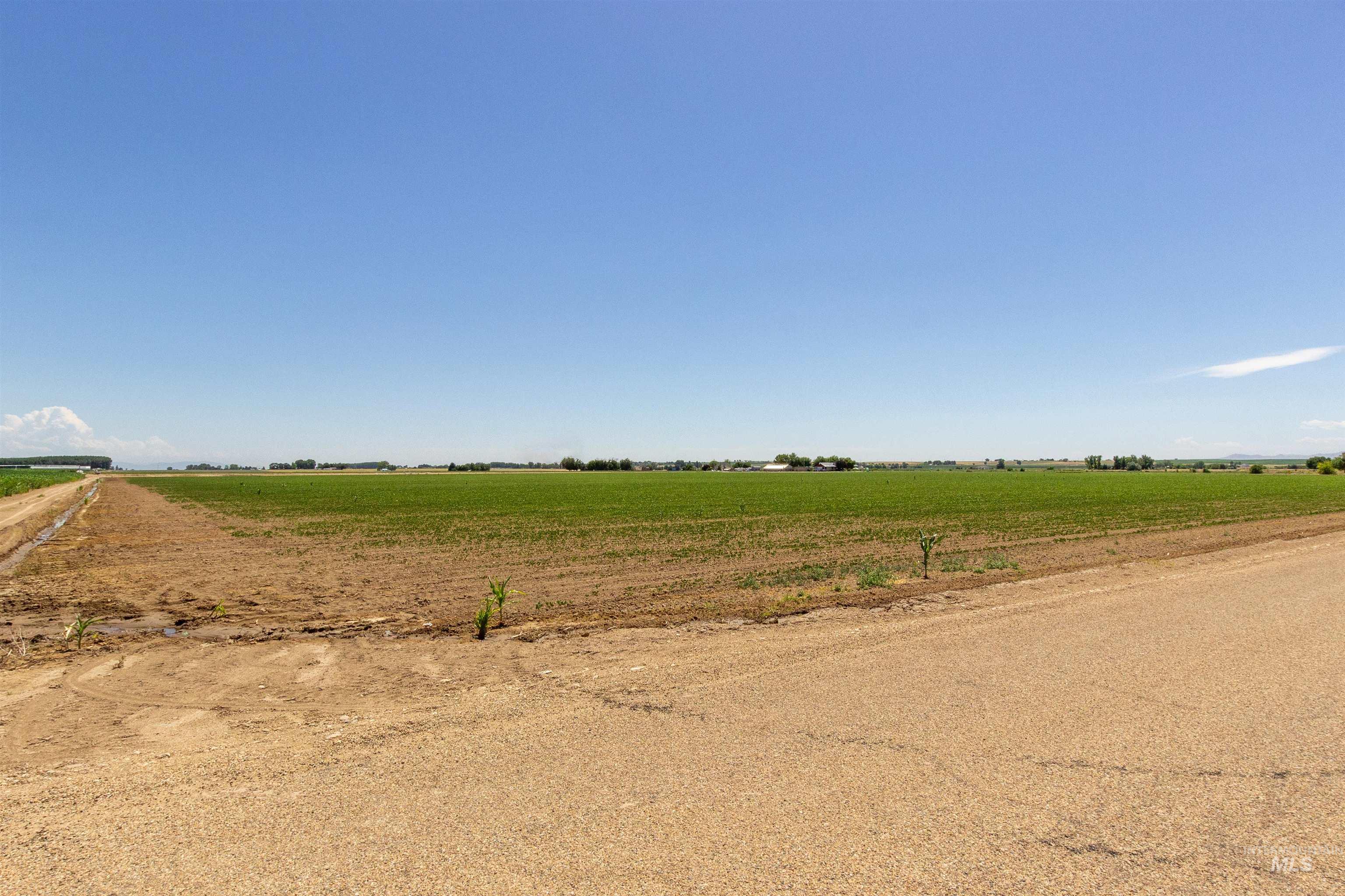 TBD Middle, Wilder, Idaho 83676, Land For Sale, Price $927,780, 98965086