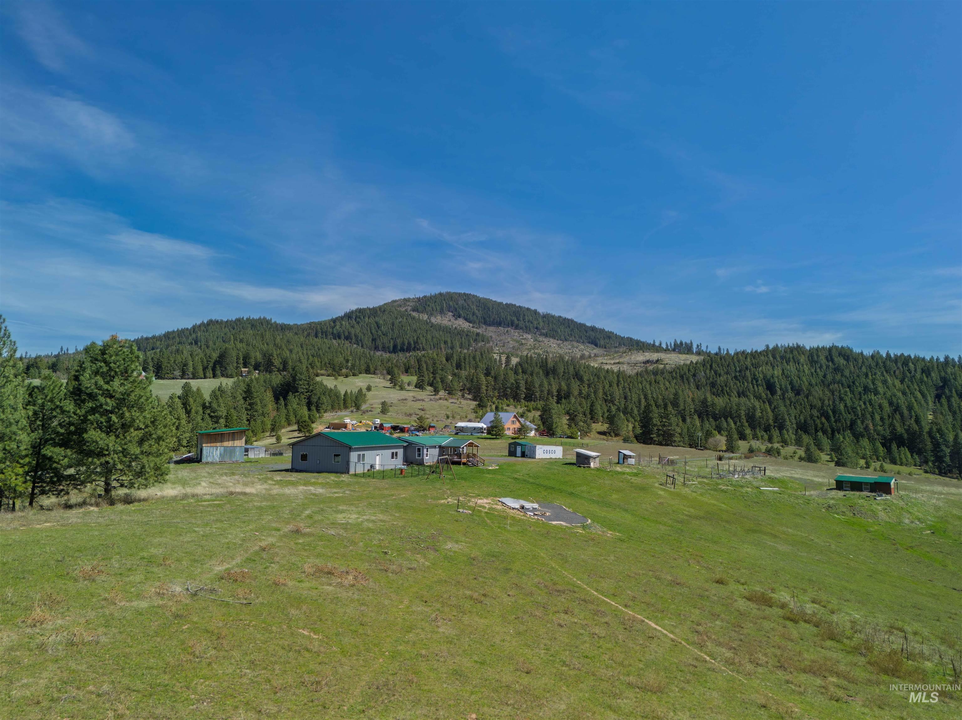 1311 Gold Hill Rd, Princeton, Idaho 83857, 3 Bedrooms, 2 Bathrooms, Residential For Sale, Price $579,000,MLS 98965198