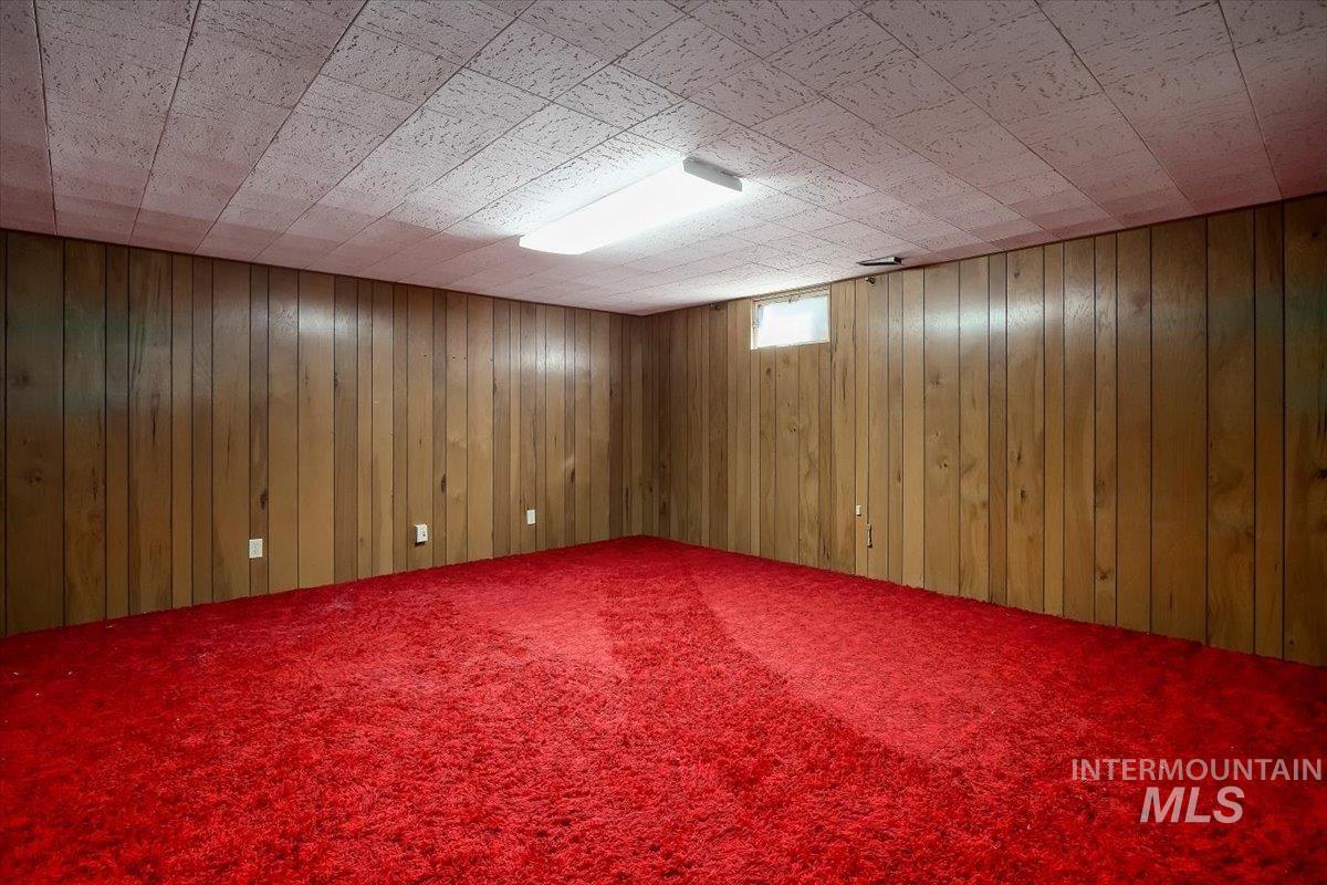 Below grade area featuring carpet floors and wooden walls