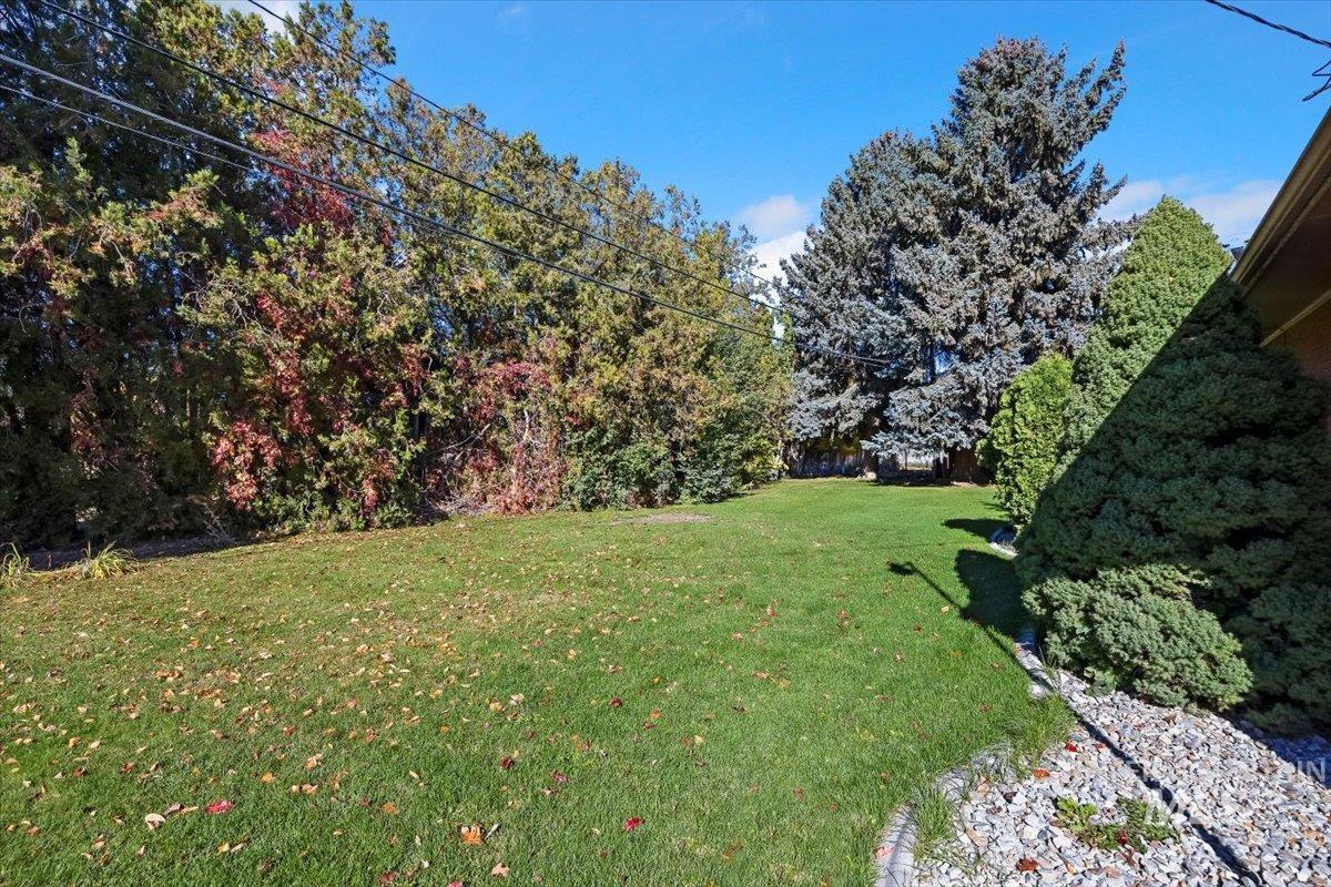 View of green lawn with view of wooded area