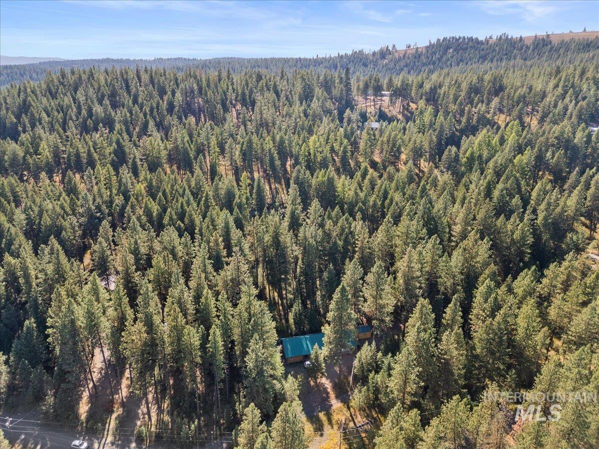 4035 Granite View Road, New Meadows, Idaho 83654, 3 Bedrooms, 2 Bathrooms, Residential For Sale, Price $550,000,MLS 98965412