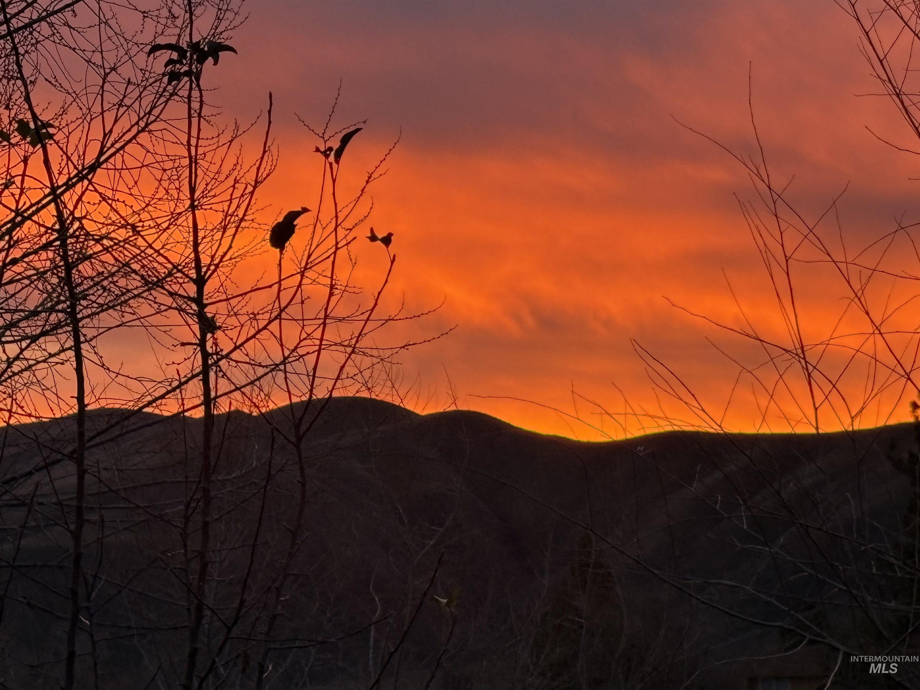 116 S Riverside Dr, Horseshoe Bend, Idaho 83629, 3 Bedrooms, 2 Bathrooms, Residential For Sale, Price $364,000,MLS 98965432