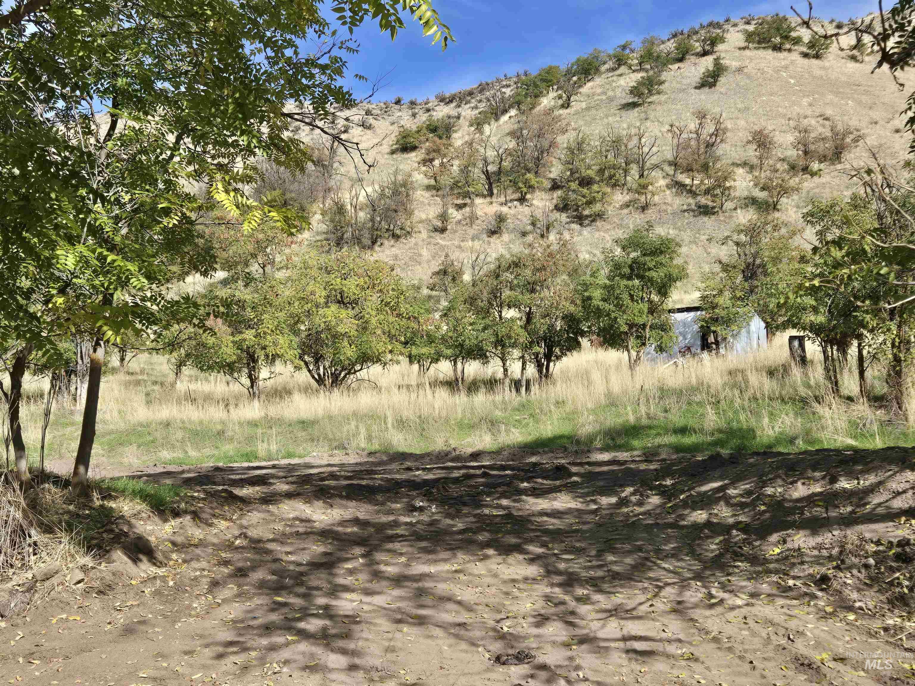 5432 W Hill Road, Boise, Idaho 83703, Land For Sale, Price $2,475,000,MLS 98965584