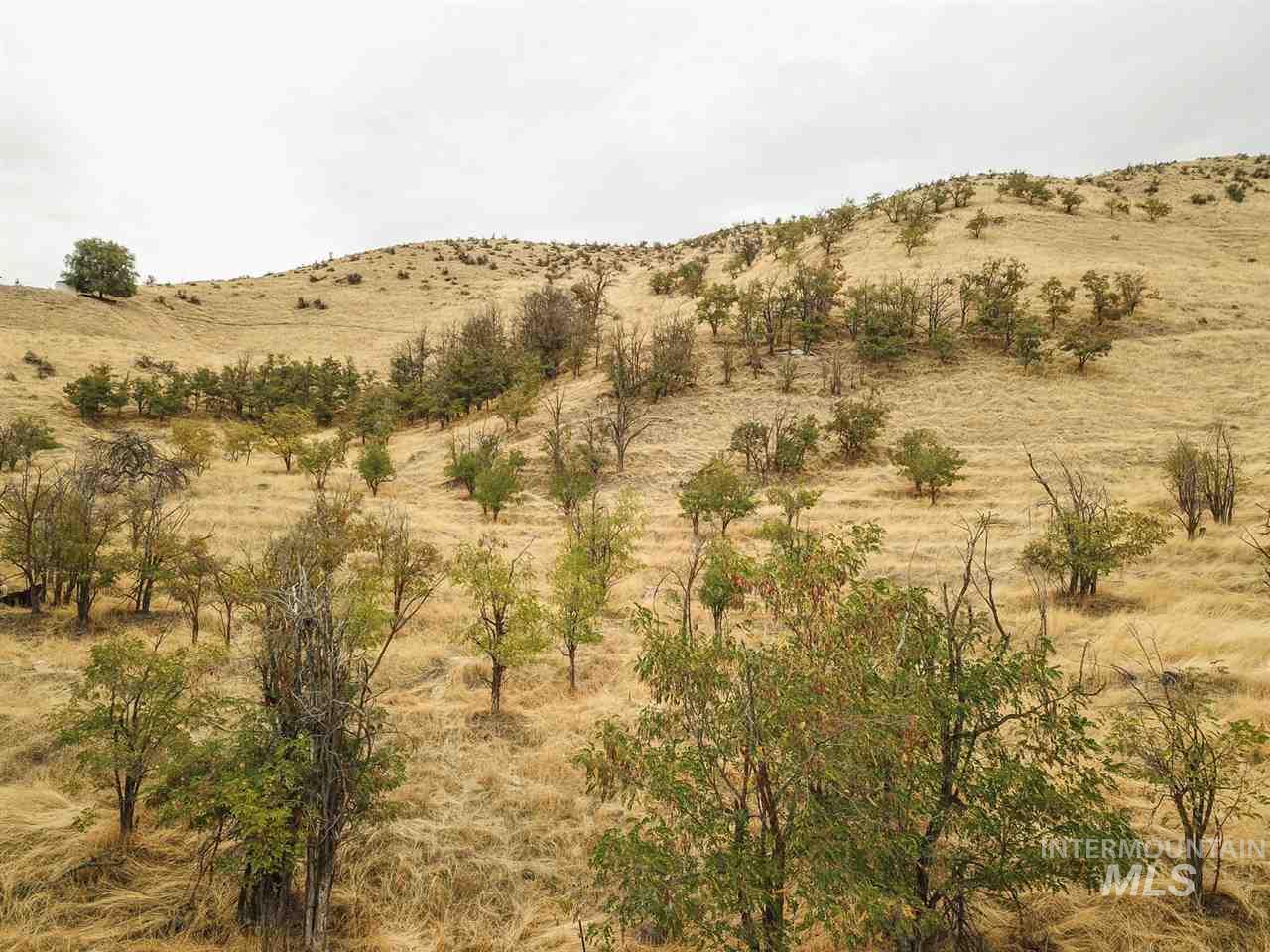 5432 W Hill Road, Boise, Idaho 83703, Land For Sale, Price $2,475,000,MLS 98965584