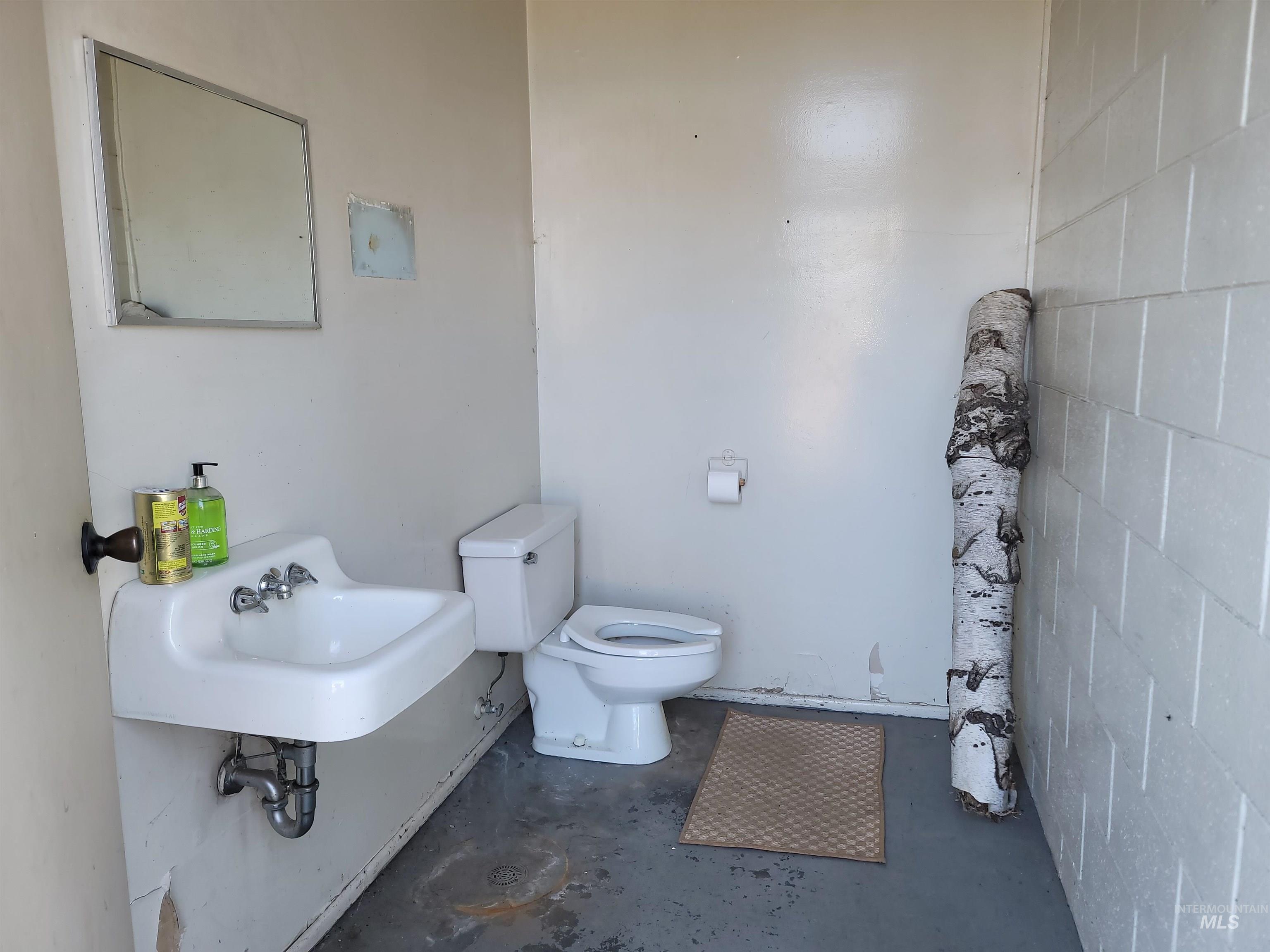 208 W Pierce Avenue, Weippe, Idaho 83553, Business/Commercial For Sale, Price $300,000,MLS 98965603