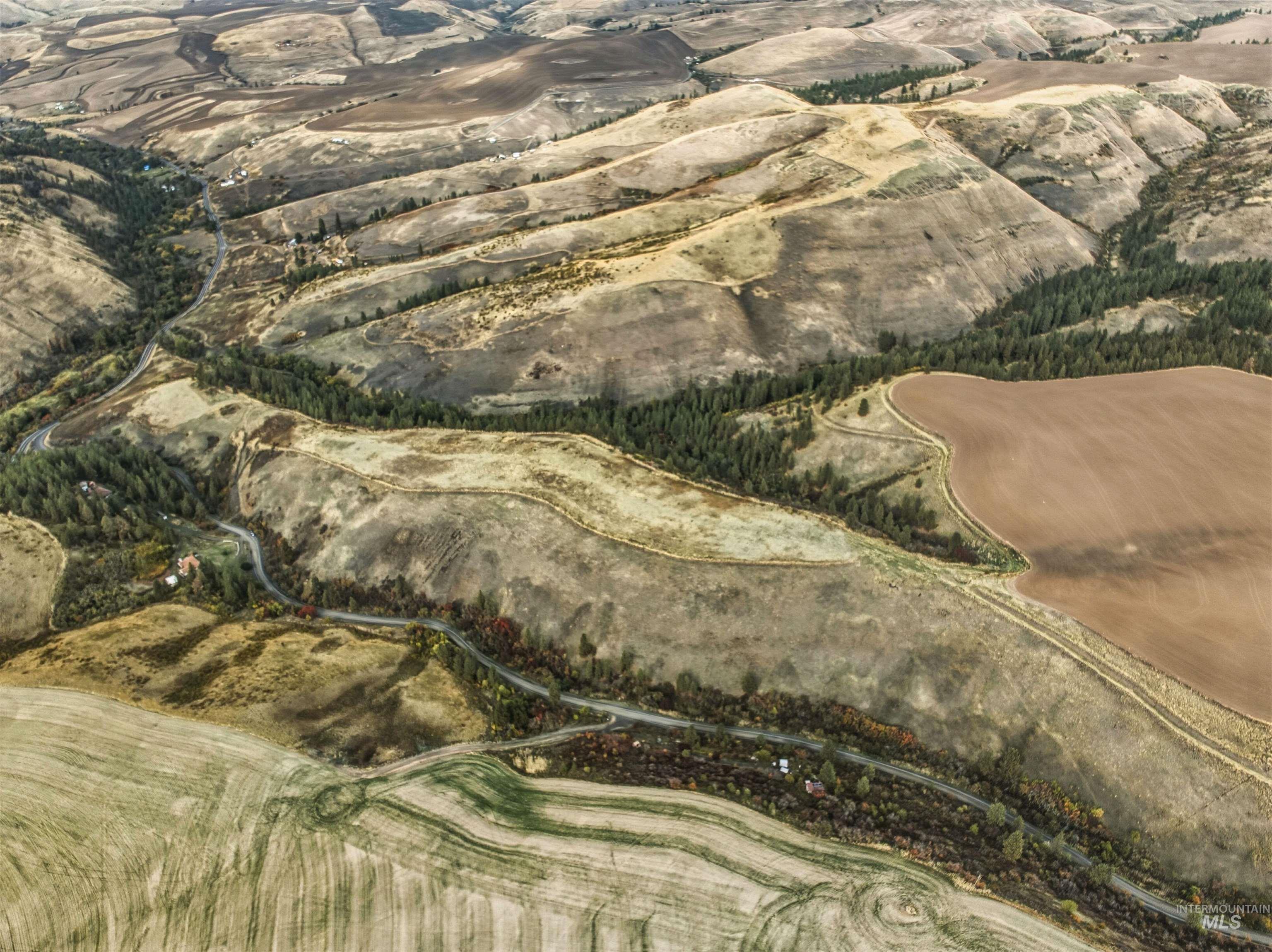 TBD Kettenbach Grade, Culdesac, Idaho 83534, Land For Sale, Price $535,000,MLS 98965612