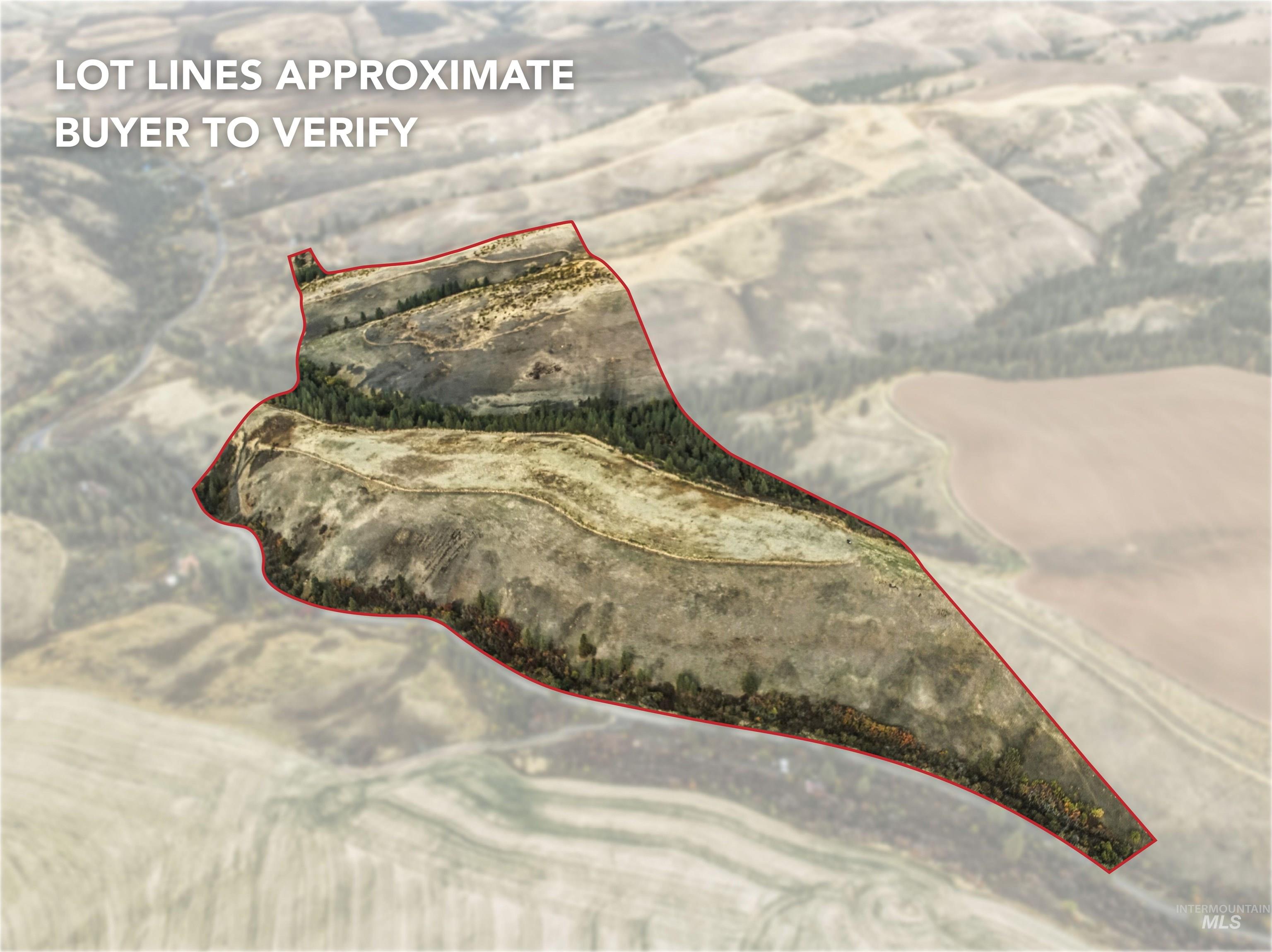 TBD Kettenbach Grade, Culdesac, Idaho 83534, Land For Sale, Price $535,000,MLS 98965612