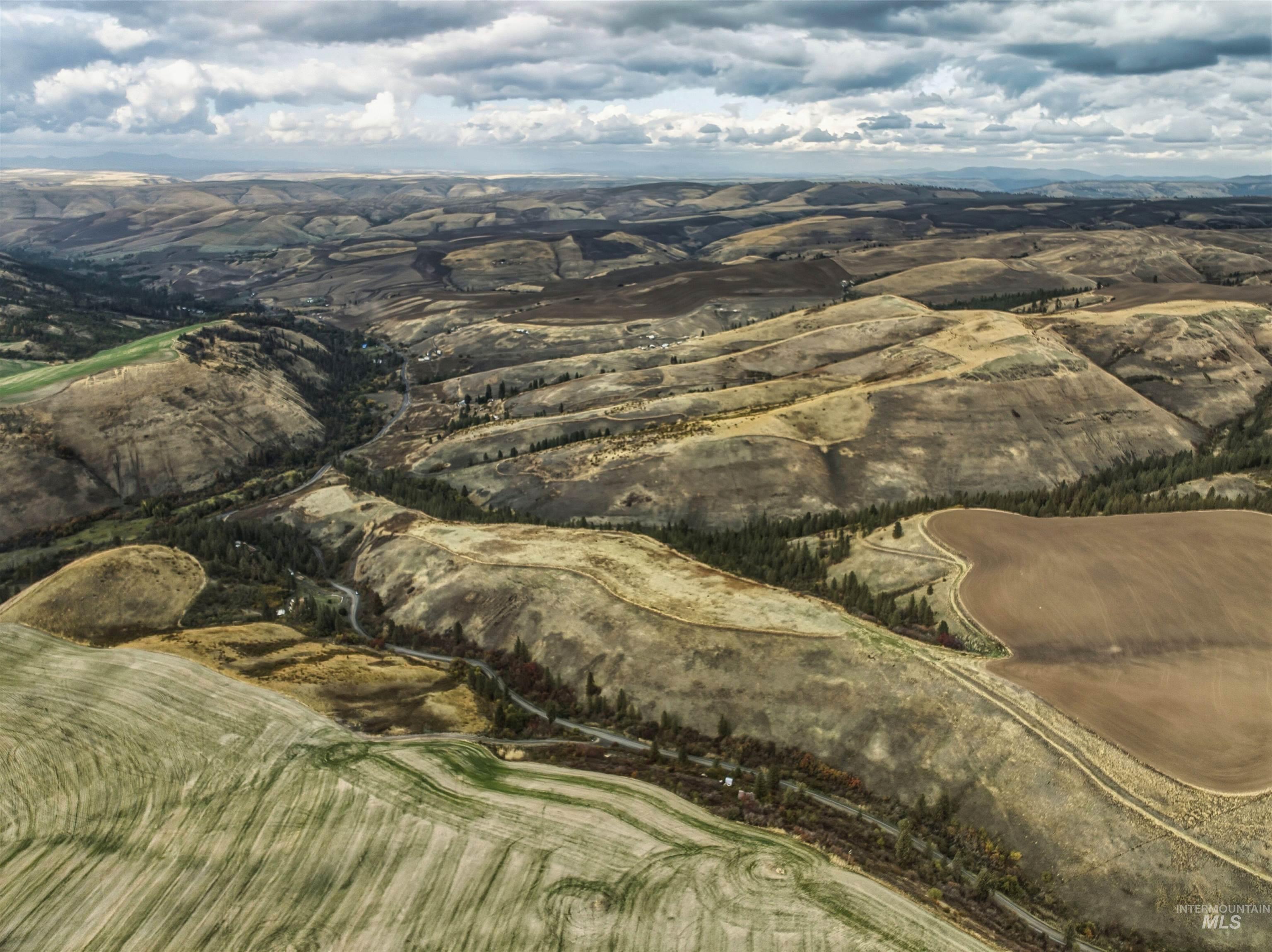 TBD Kettenbach Grade, Culdesac, Idaho 83534, Land For Sale, Price $535,000,MLS 98965612