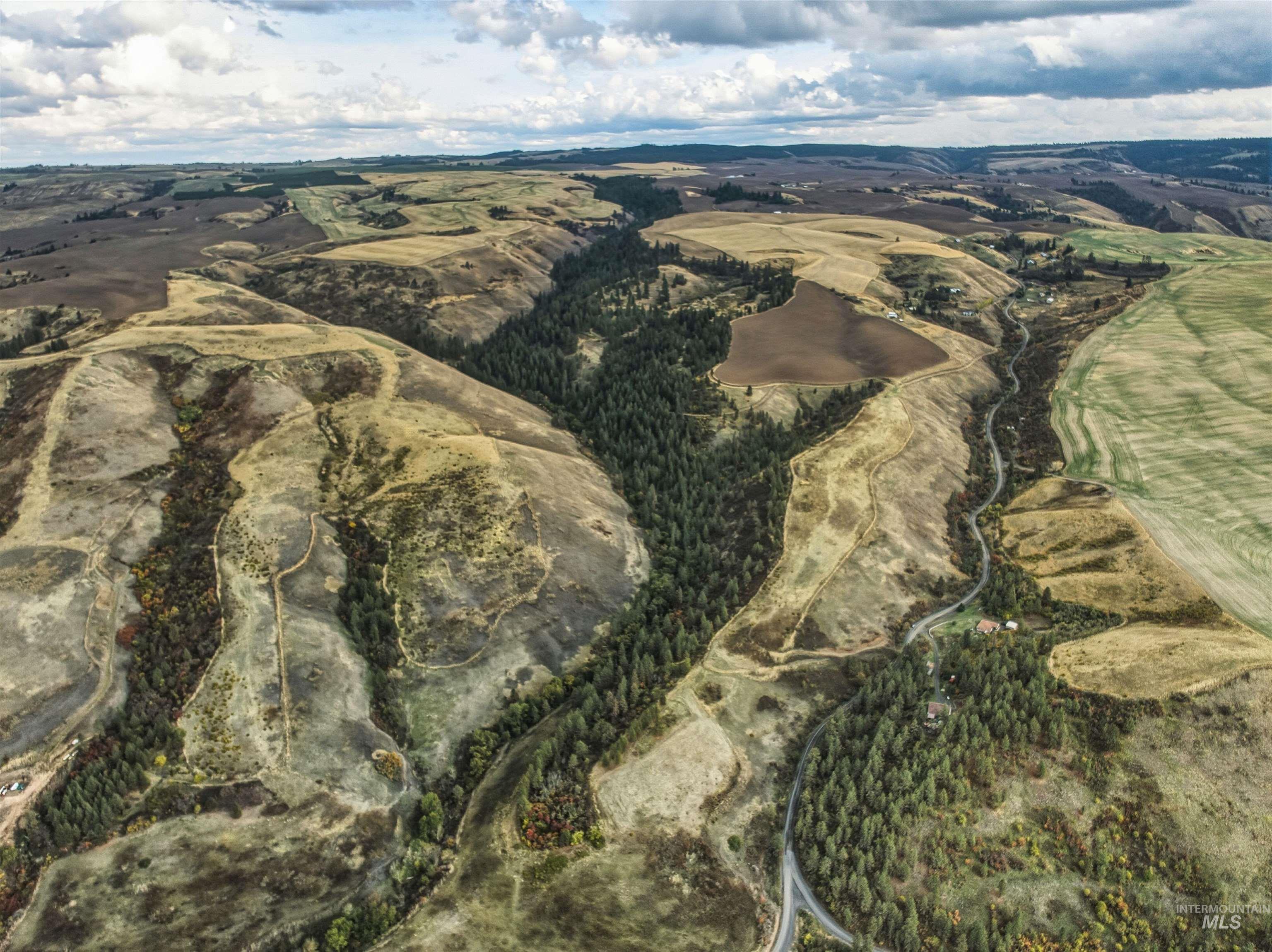 TBD Kettenbach Grade, Culdesac, Idaho 83534, Land For Sale, Price $535,000,MLS 98965612