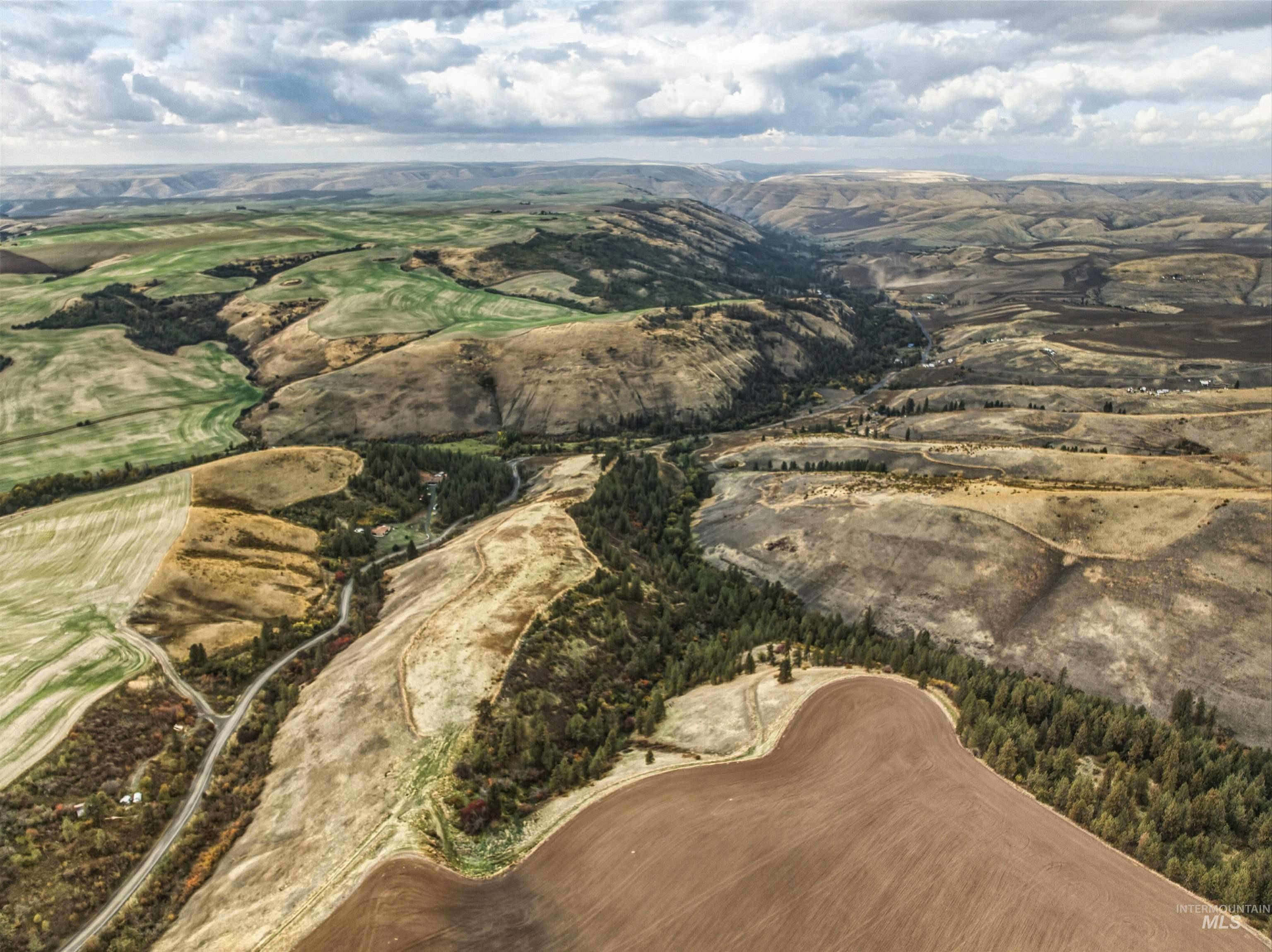 TBD Kettenbach Grade, Culdesac, Idaho 83534, Land For Sale, Price $535,000,MLS 98965612