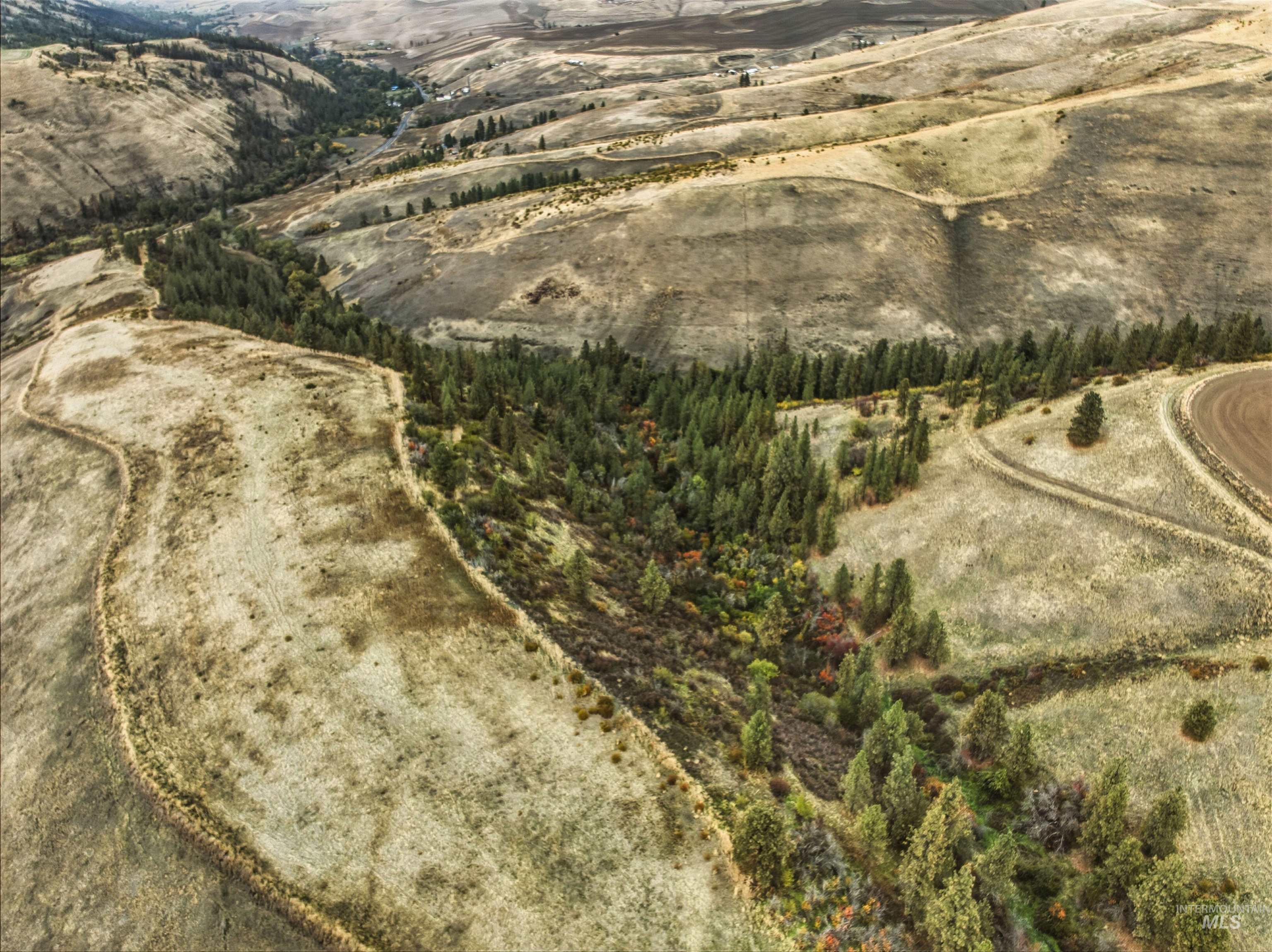 TBD Kettenbach Grade, Culdesac, Idaho 83534, Land For Sale, Price $535,000,MLS 98965612