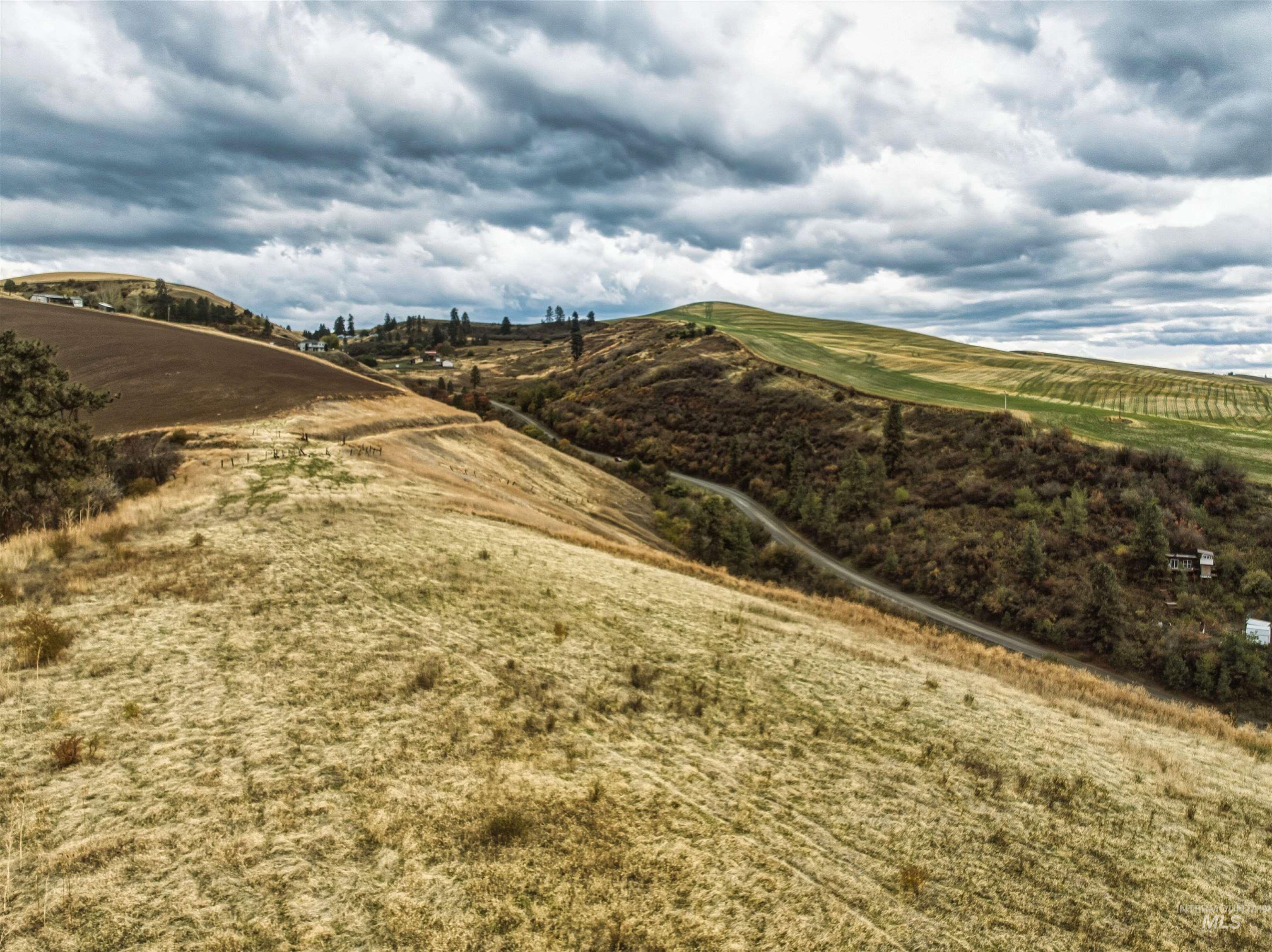 TBD Kettenbach Grade, Culdesac, Idaho 83534, Land For Sale, Price $535,000,MLS 98965612