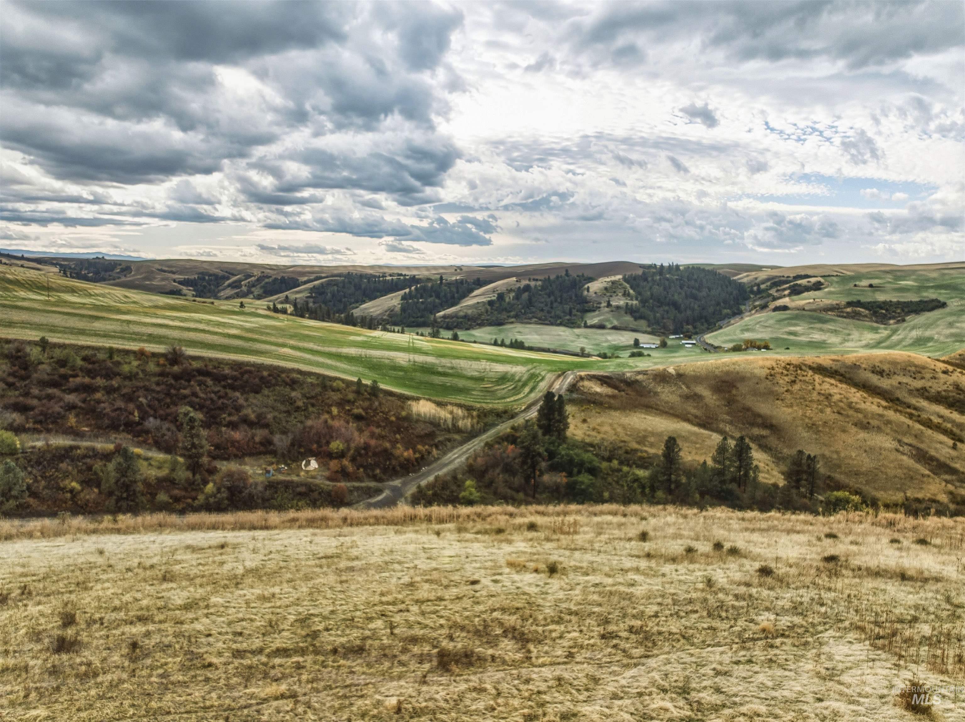 TBD Kettenbach Grade, Culdesac, Idaho 83534, Land For Sale, Price $535,000,MLS 98965612