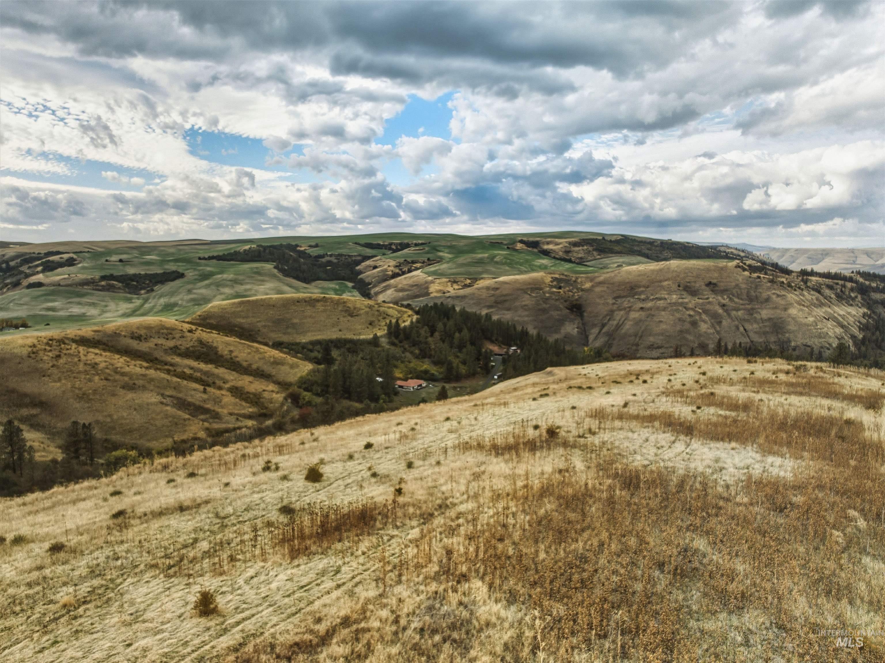 TBD Kettenbach Grade, Culdesac, Idaho 83534, Land For Sale, Price $535,000,MLS 98965612