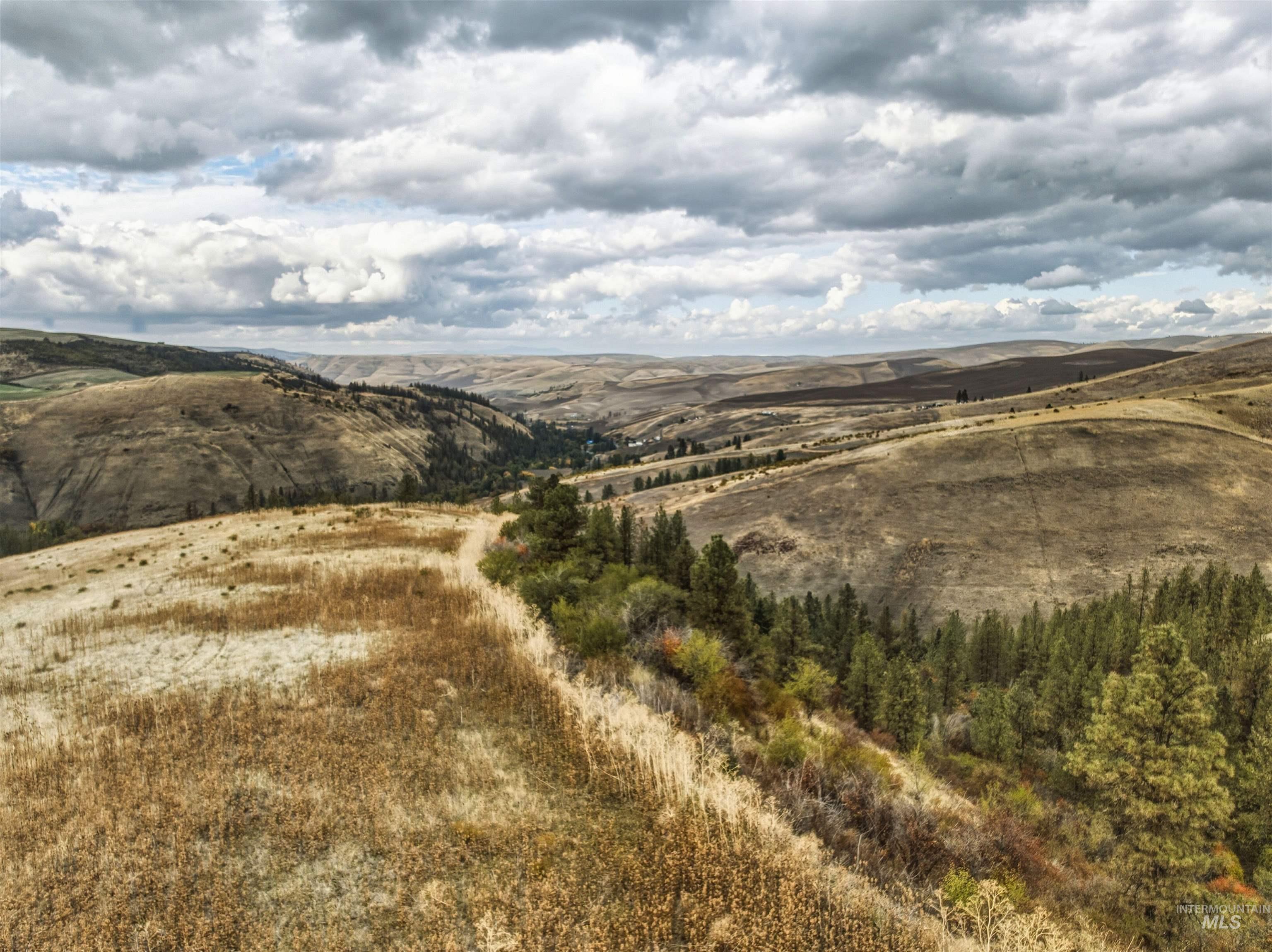 TBD Kettenbach Grade, Culdesac, Idaho 83534, Land For Sale, Price $535,000,MLS 98965612