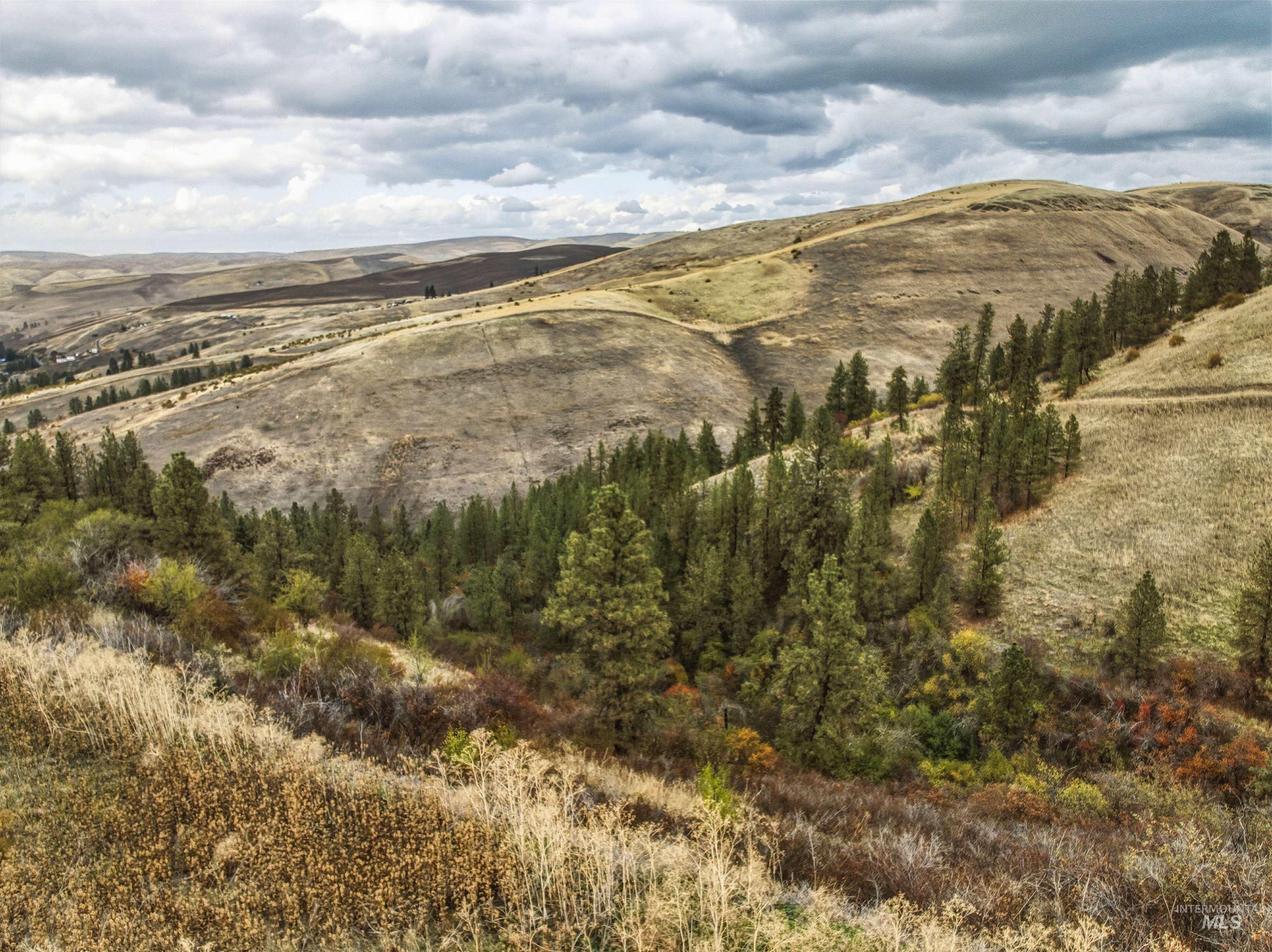 TBD Kettenbach Grade, Culdesac, Idaho 83534, Land For Sale, Price $535,000,MLS 98965612