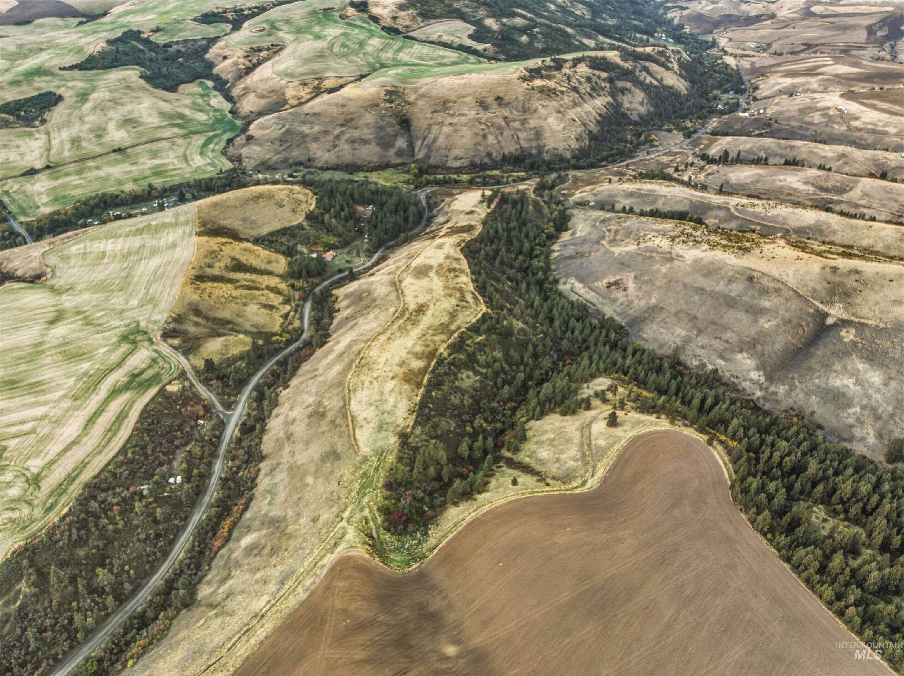 TBD Kettenbach Grade, Culdesac, Idaho 83534, Land For Sale, Price $535,000,MLS 98965612