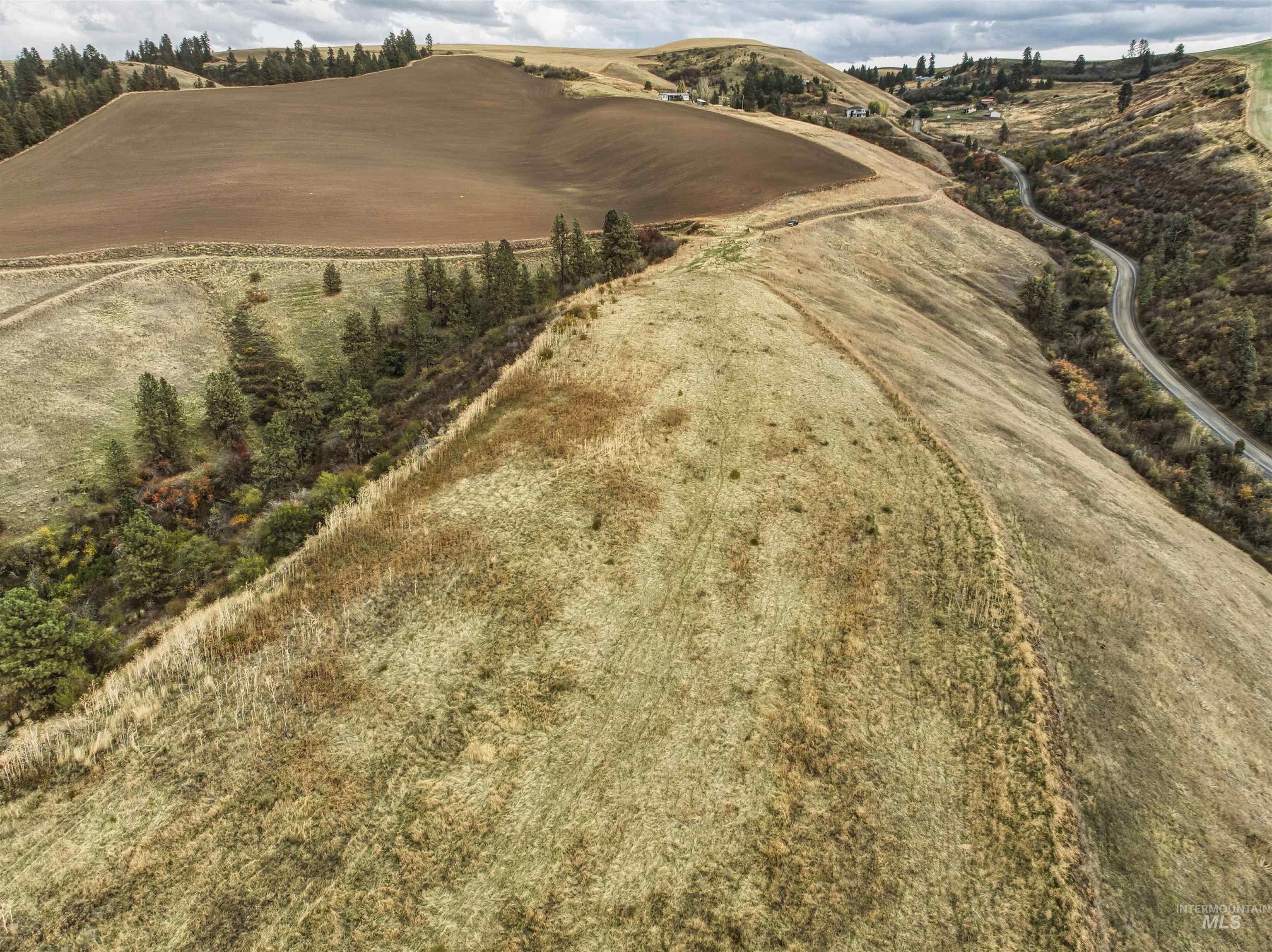 TBD Kettenbach Grade, Culdesac, Idaho 83534, Land For Sale, Price $535,000,MLS 98965612