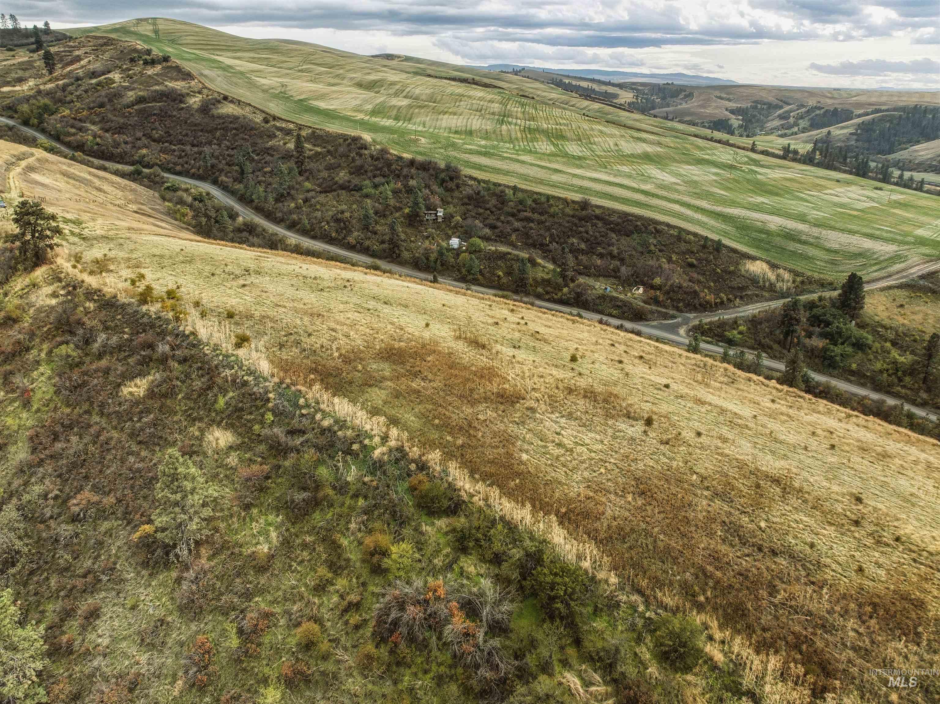 TBD Kettenbach Grade, Culdesac, Idaho 83534, Land For Sale, Price $535,000,MLS 98965612