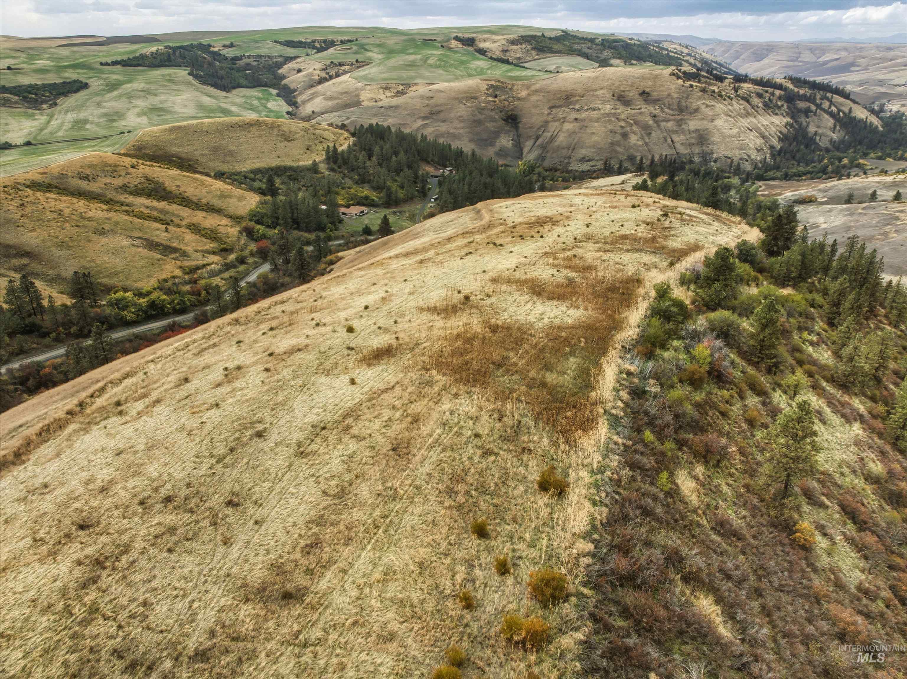 TBD Kettenbach Grade, Culdesac, Idaho 83534, Land For Sale, Price $535,000,MLS 98965612