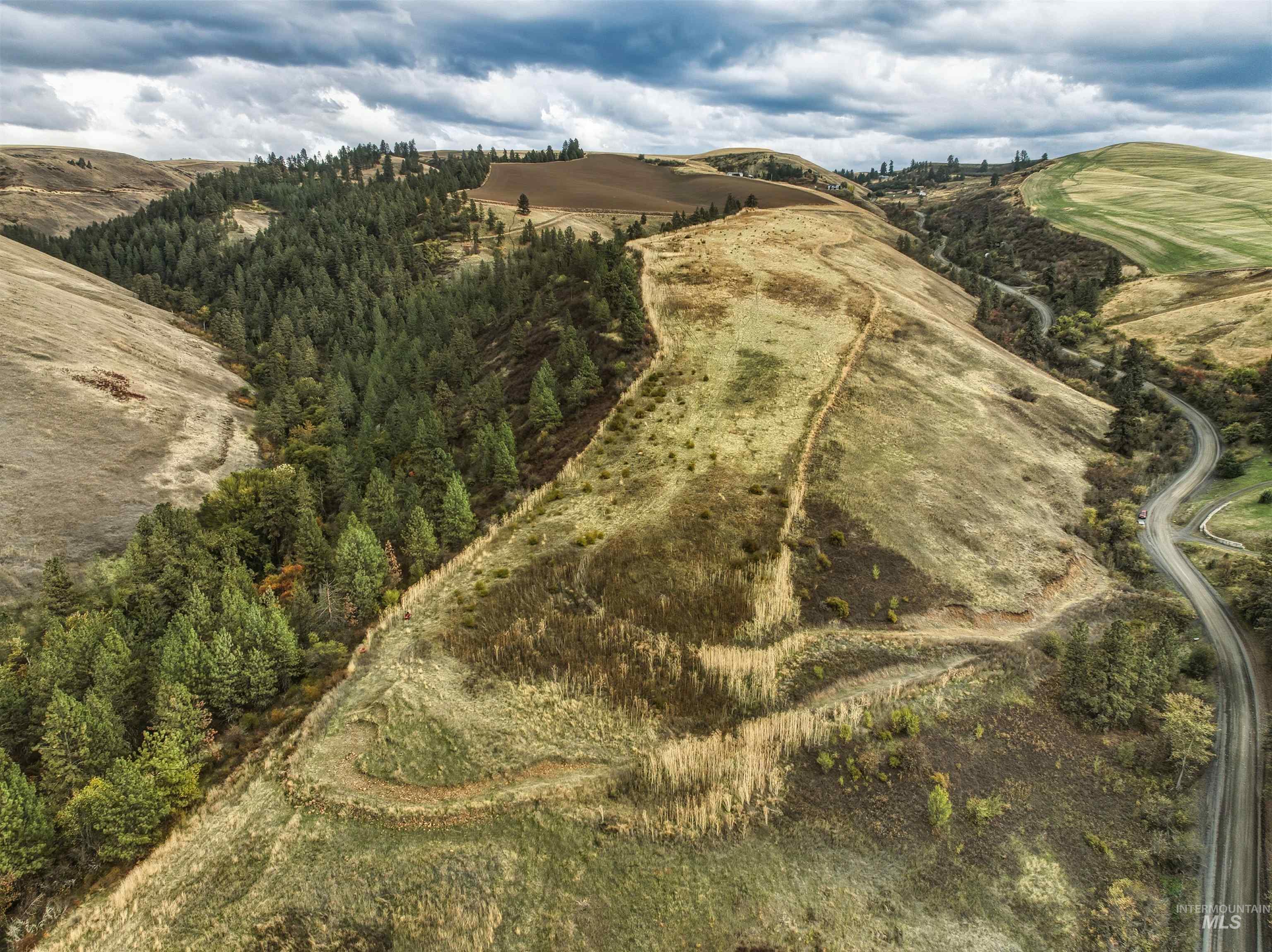 TBD Kettenbach Grade, Culdesac, Idaho 83534, Land For Sale, Price $535,000,MLS 98965612